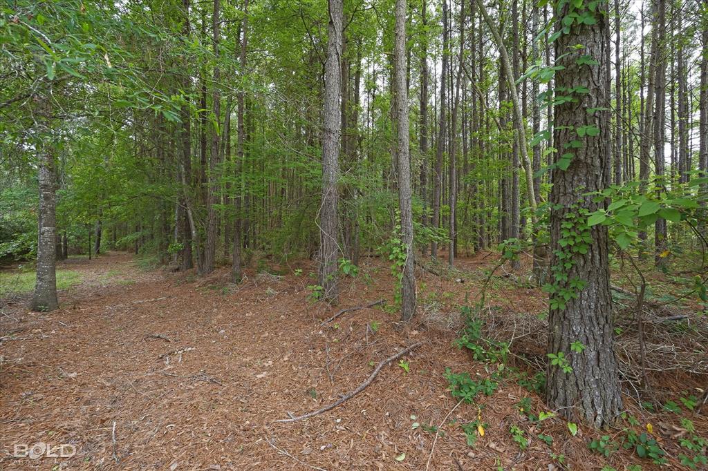 0 Boothville Road Doyline, LA 71023 - Photo 24 of 24