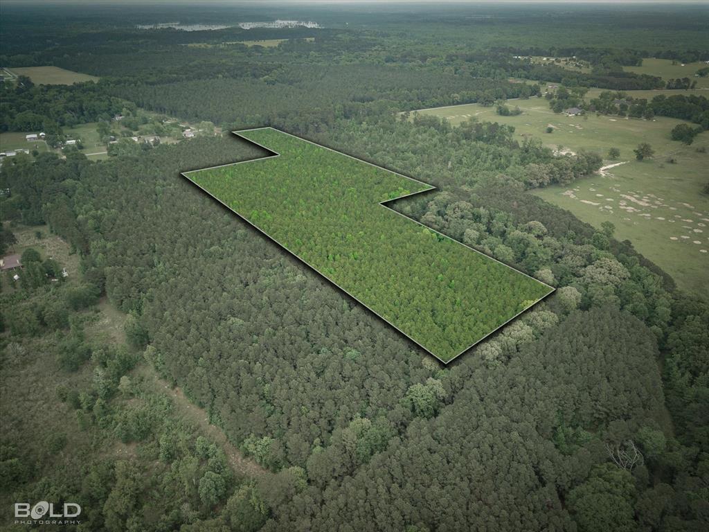 0 Boothville Road Doyline, LA 71023 - Photo 9 of 24