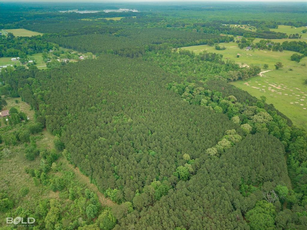 0 Boothville Road Doyline, LA 71023 - Photo 10 of 24