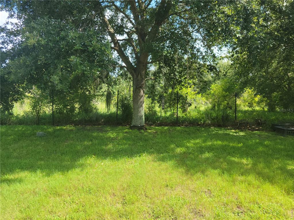 13008 Oulton Circle Orlando, FL 32832 - Photo 3 of 16