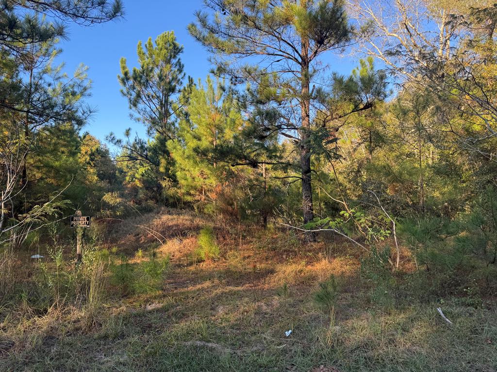 0 East Wilson Street Dothan, AL 36303 - Photo 3 of 4