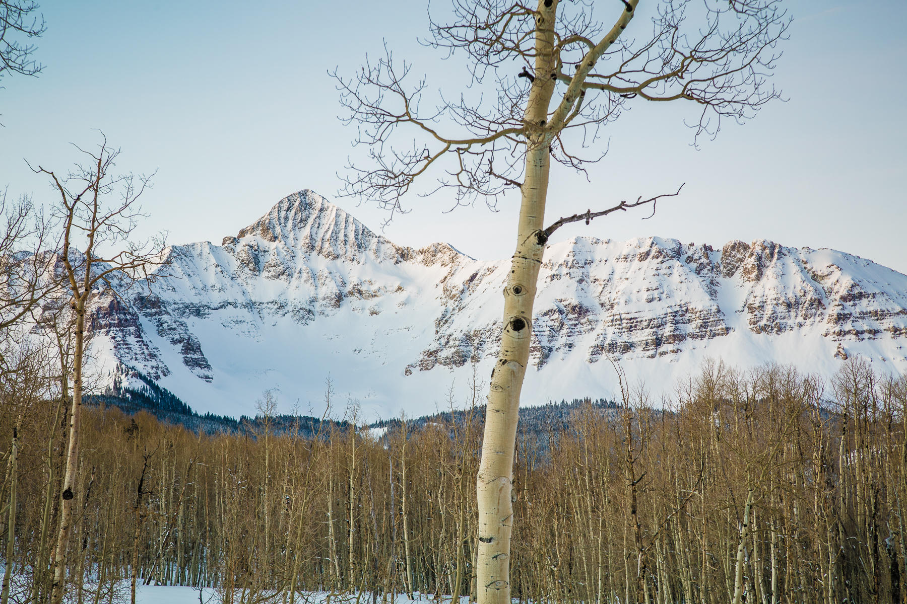 6515 County Road Placerville, CO 81430 - Photo 23 of 41 Splendor
