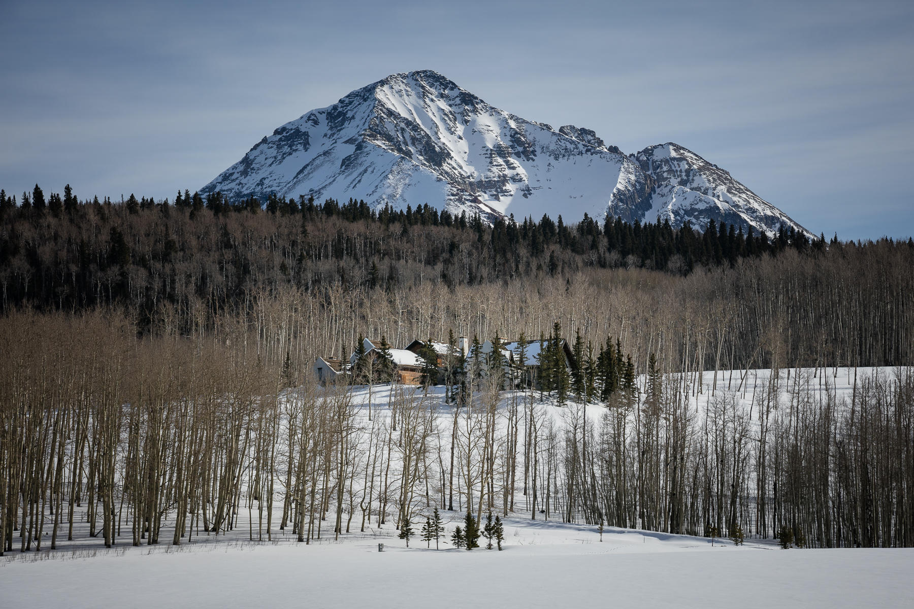 6515 County Road Placerville, CO 81430 - Photo 24 of 41 Iconic