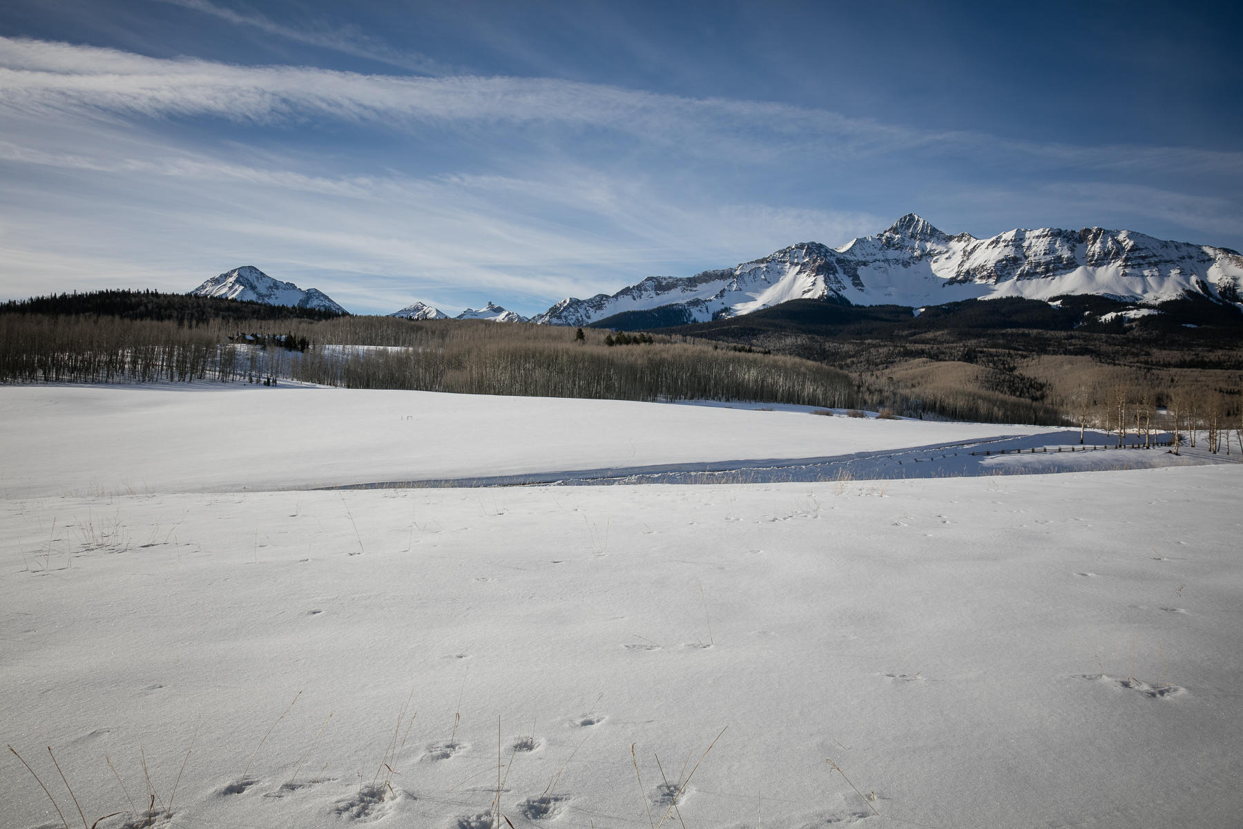 6515 County Road Placerville, CO 81430 - Photo 25 of 41 Snow Fields