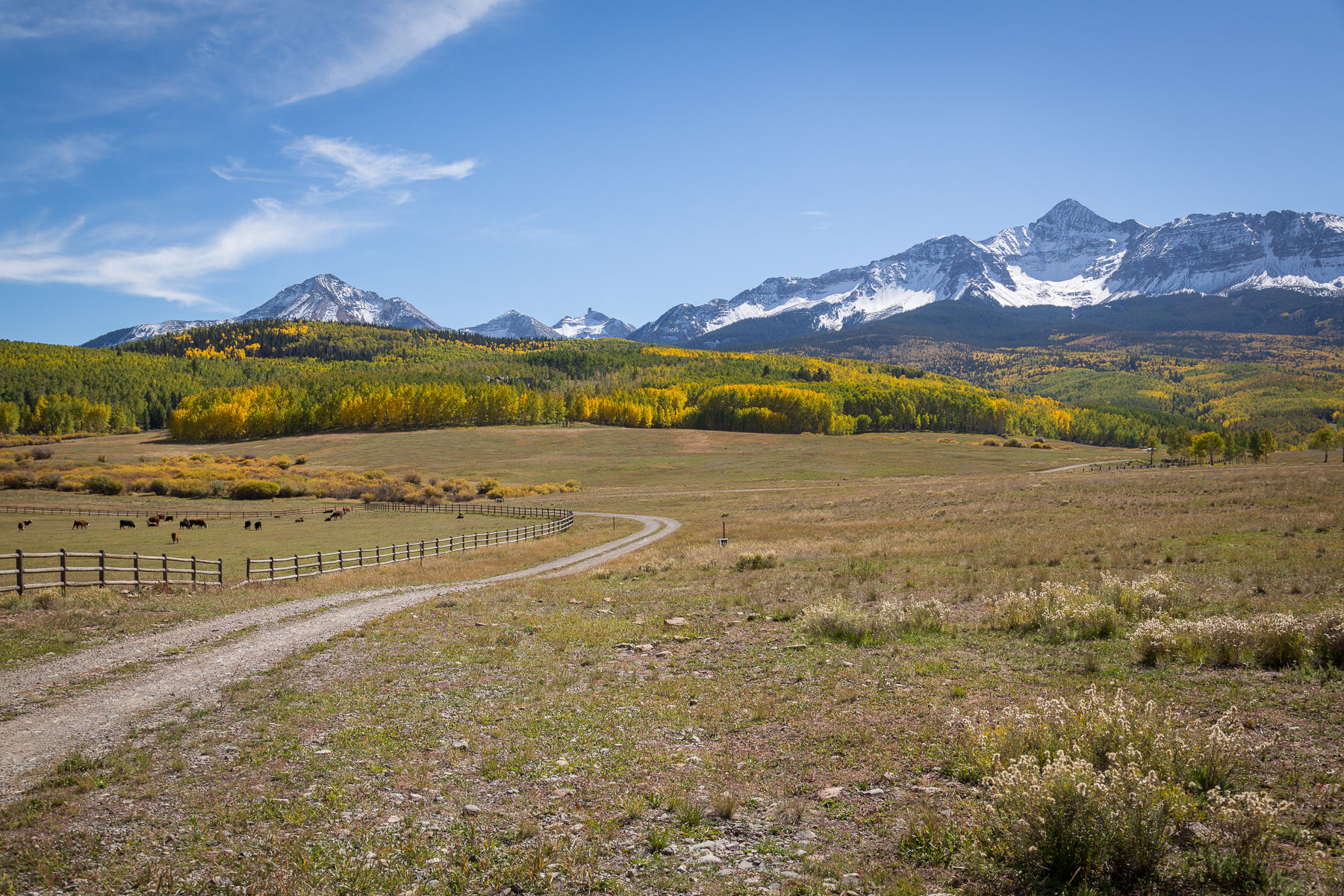 6515 County Road Placerville, CO 81430 - Photo 26 of 41 Two track