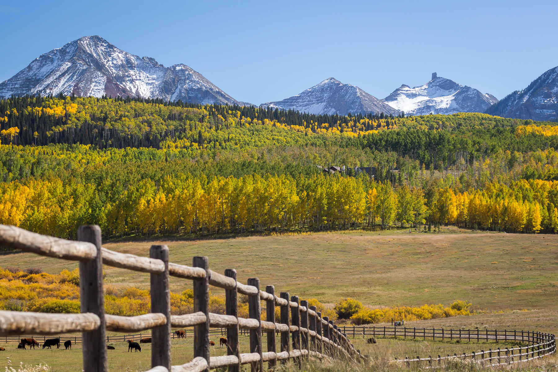 6515 County Road Placerville, CO 81430 - Photo 27 of 41 Horse Country
