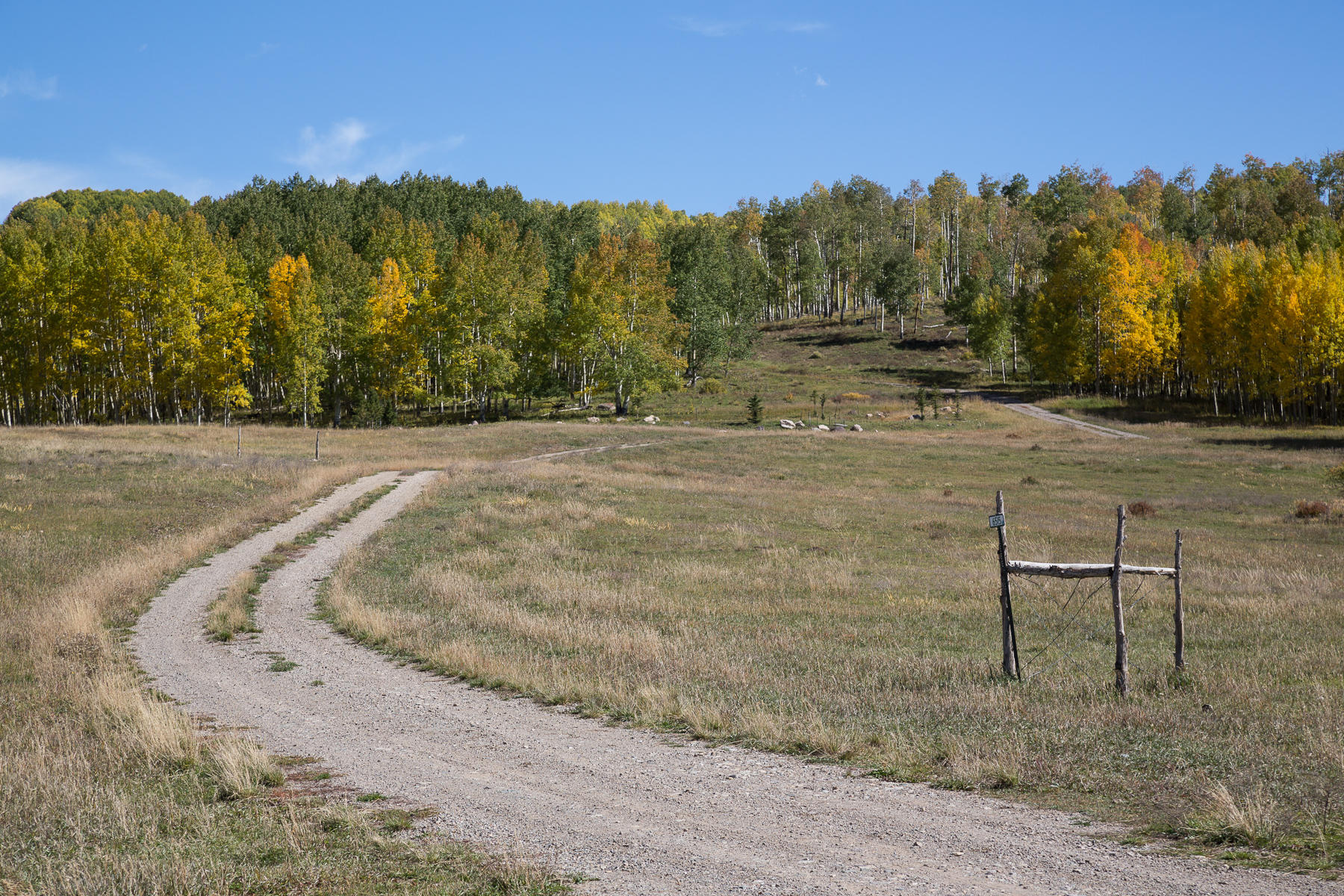 6515 County Road Placerville, CO 81430 - Photo 29 of 41 The Drive