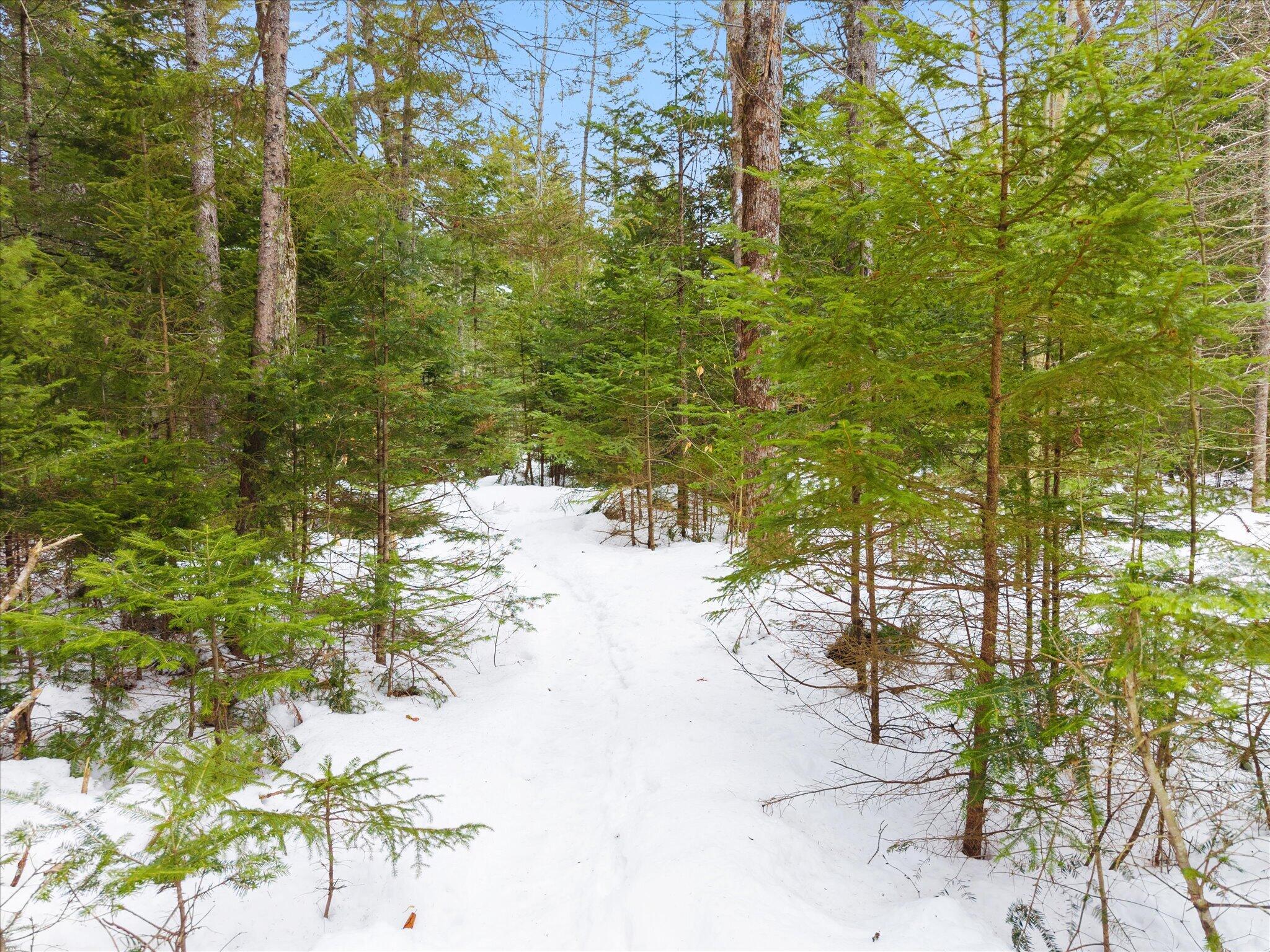 106 Woodfield Way Ellsworth, ME 04605 - Photo 57 of 57 57-106 Woodfield Way