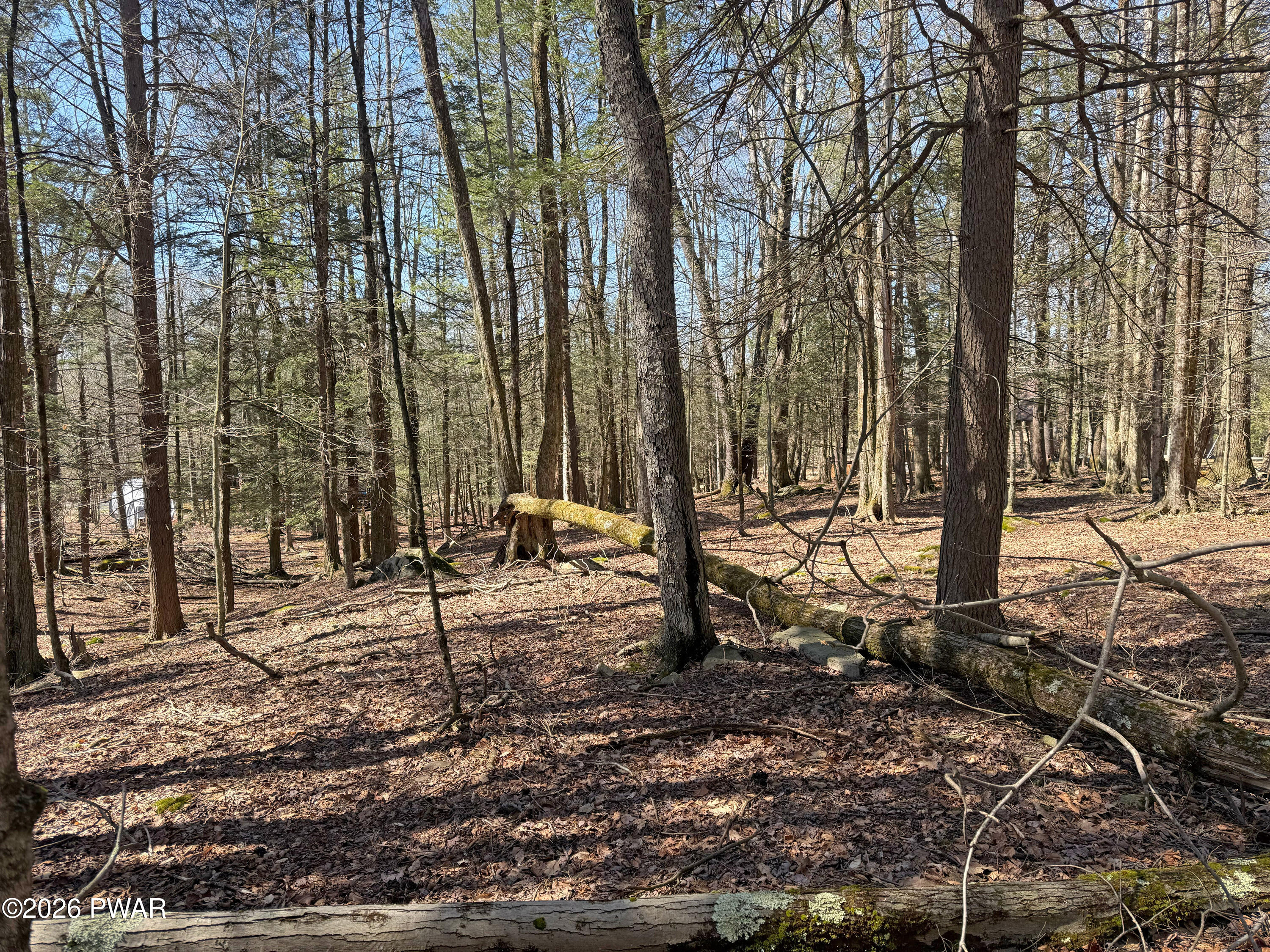 924-927 Hibernation Road Lake Ariel, PA 18436 - Photo 10 of 31