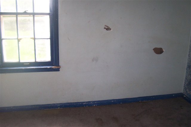 22770 David Eastpointe, MI 48021 - Photo 7 of 7 31058031-6.JPG
