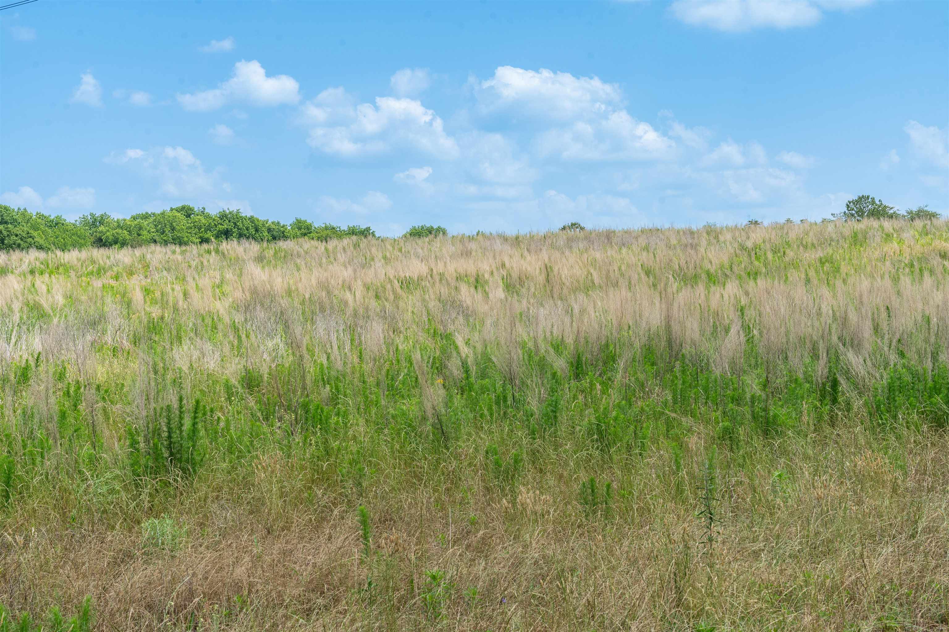 B Cooley Springs School Road Chesnee, SC 29323 - Photo 4 of 11