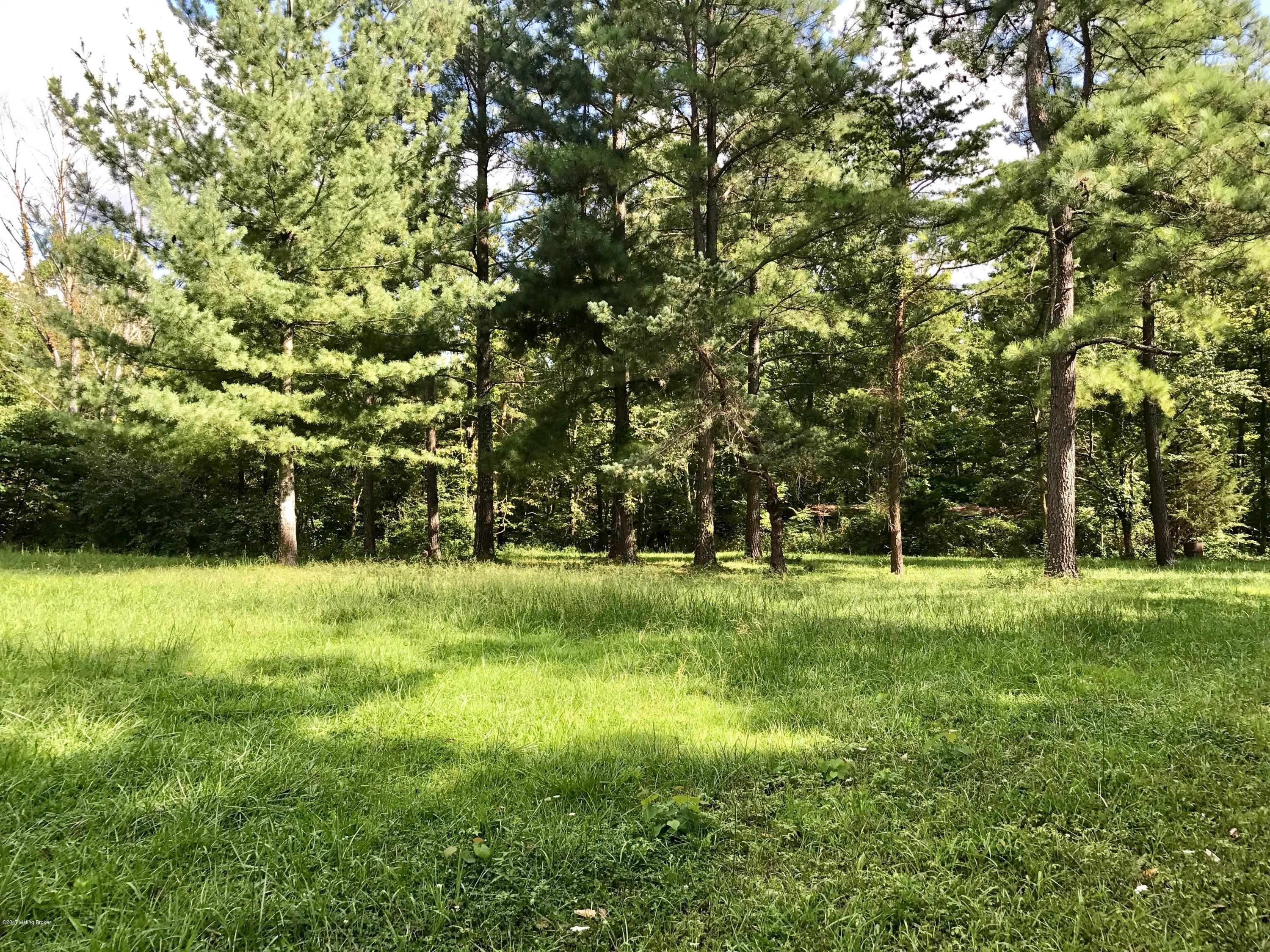 2300 Ridge Road Pendleton, KY 40055 - Photo 2 of 6 road frontage area