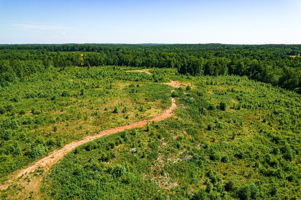 Pleasant Grove Road Halifax, VA 24558 - Photo 40 of 44 Gallery Image 40