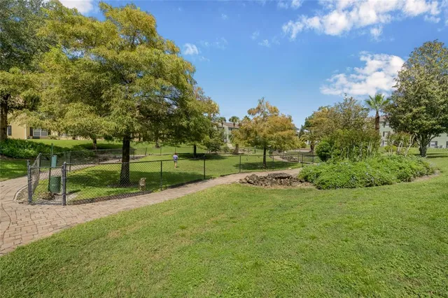 a view of a park with large trees