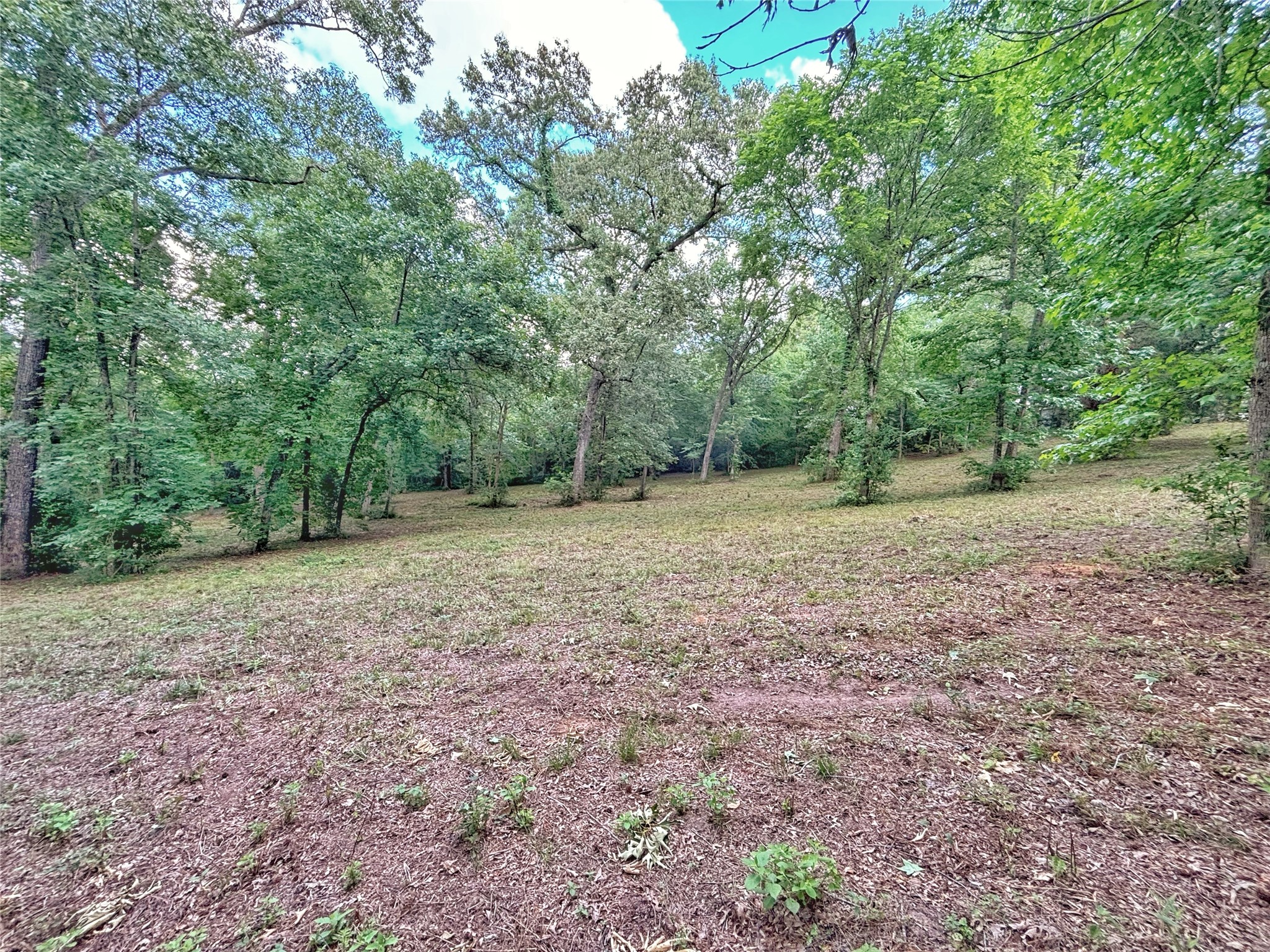 390 County Road 1701 Rusk, TX 75785 - Photo 36 of 43