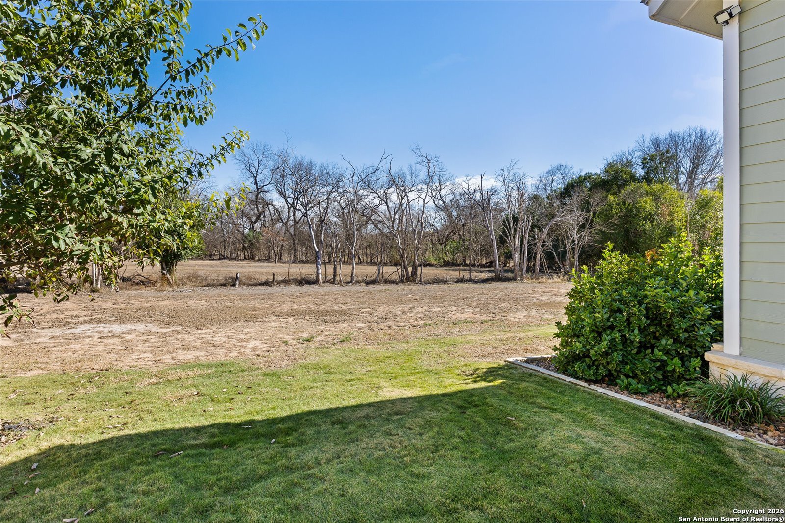 1006 High Street Comfort, TX 78013 - Photo 41 of 50 a view of yard with large trees