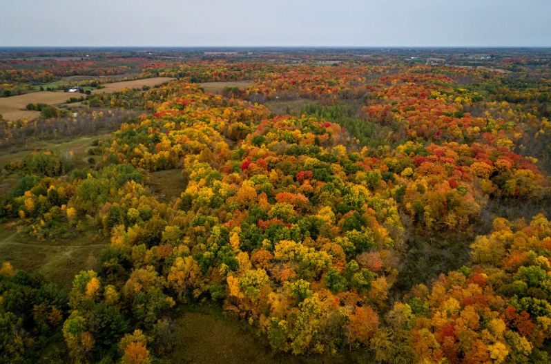 373 Acacia Way Stanchfield, MN 55080 - Photo 22 of 22