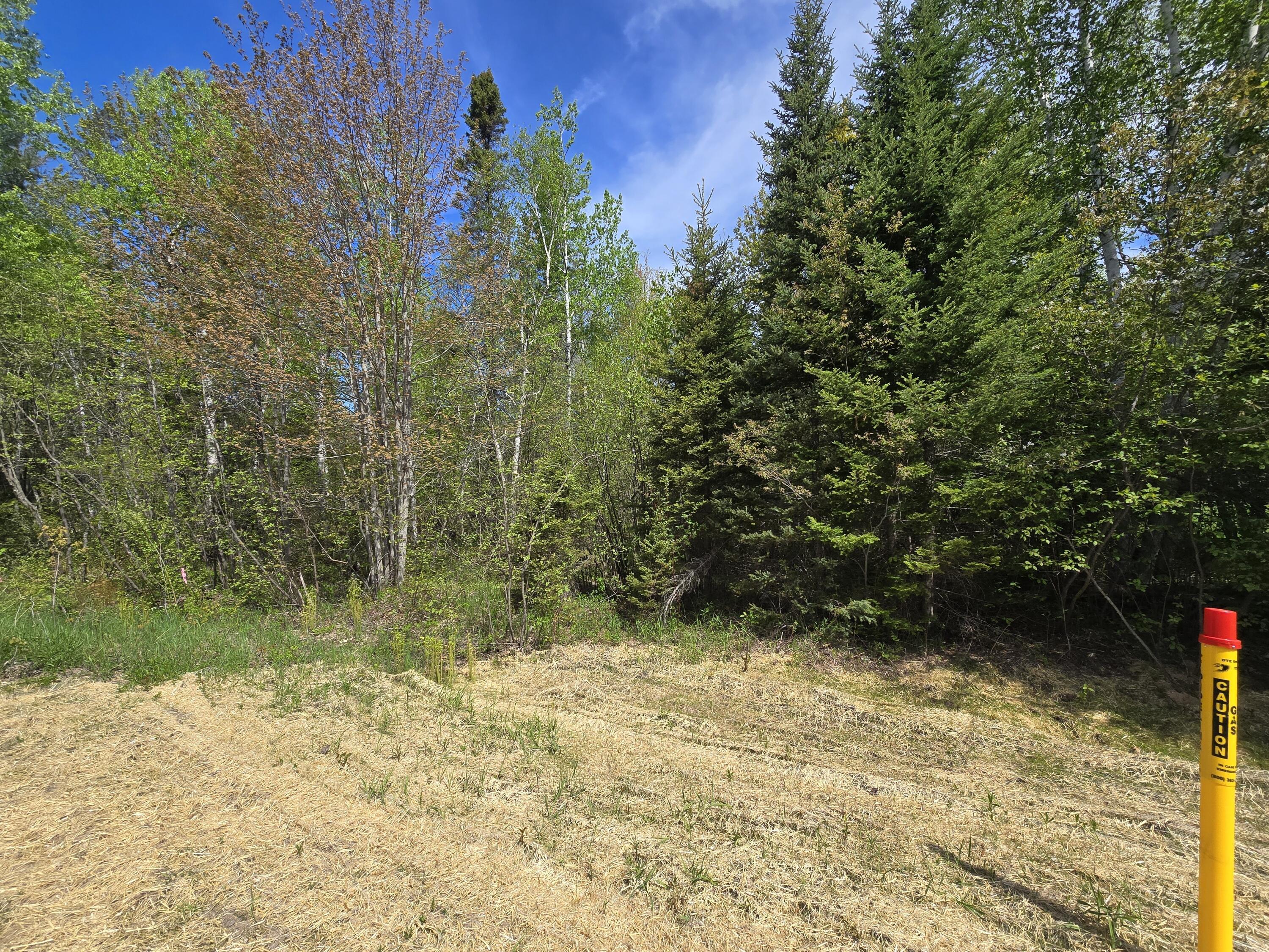 6 West Mile Road Brimley, MI 49715 - Photo 4 of 6 PROPERTY TO THE EAST