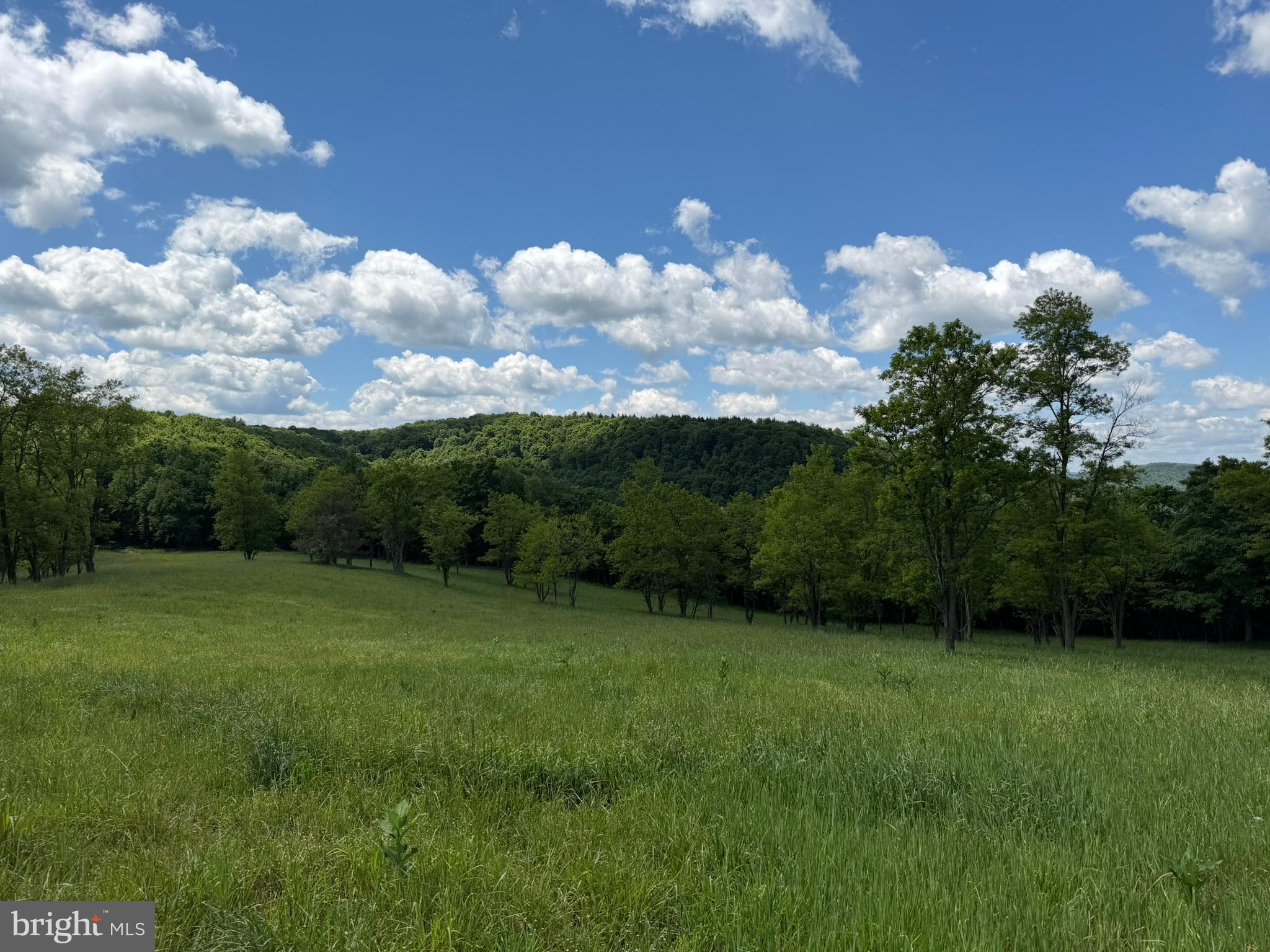 848 Sugar Camp Road Clearfield, PA 16830 - Photo 68 of 118