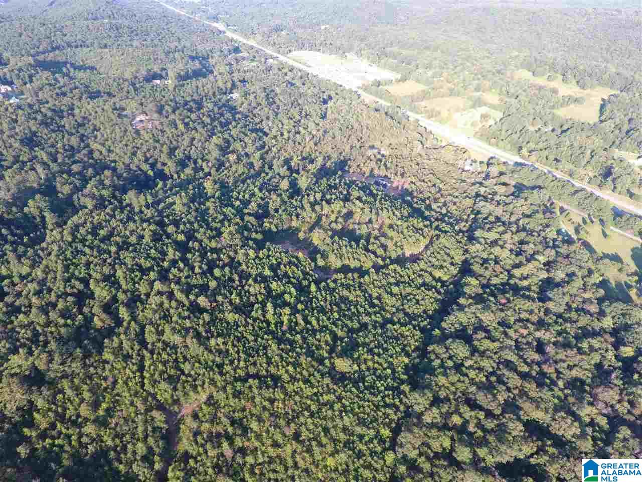 75 Highway 75, Unit 3 Remlap, AL 35133 - Photo 1 of 1