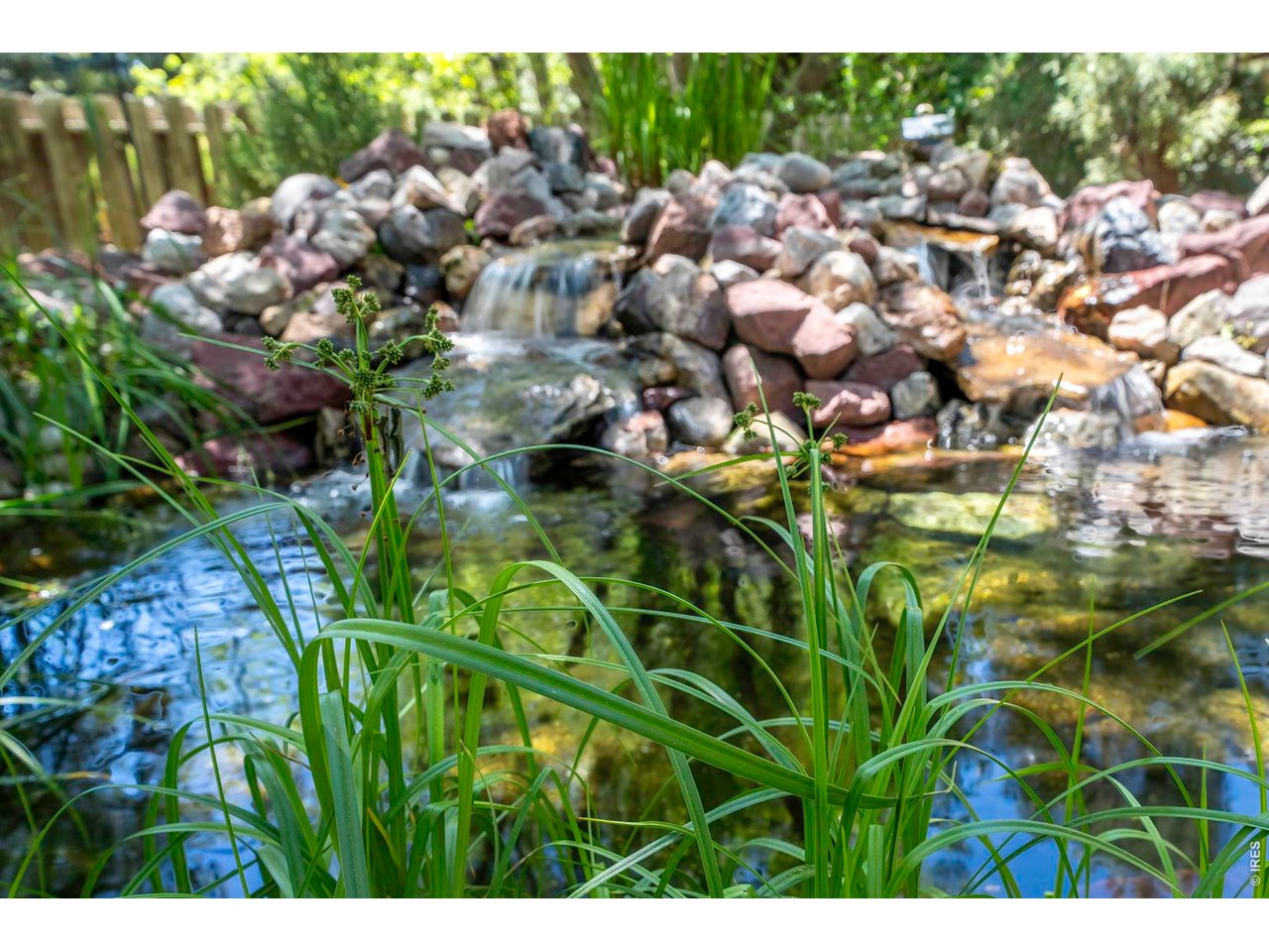1517 Ridgeview Drive Louisville, CO 80027 - Photo 40 of 50 Waterfall and Pond