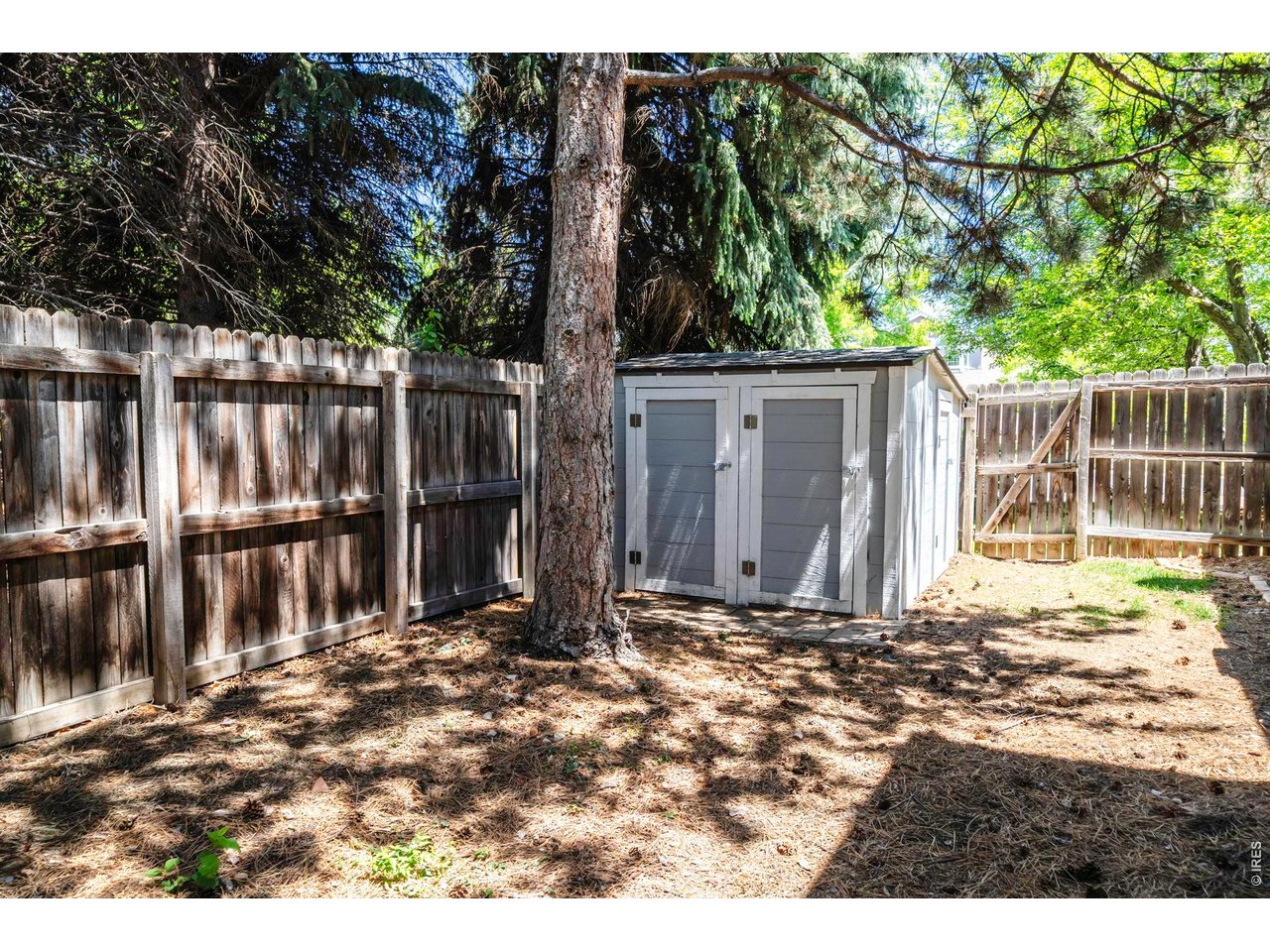 1517 Ridgeview Drive Louisville, CO 80027 - Photo 43 of 50 Storage Shed included