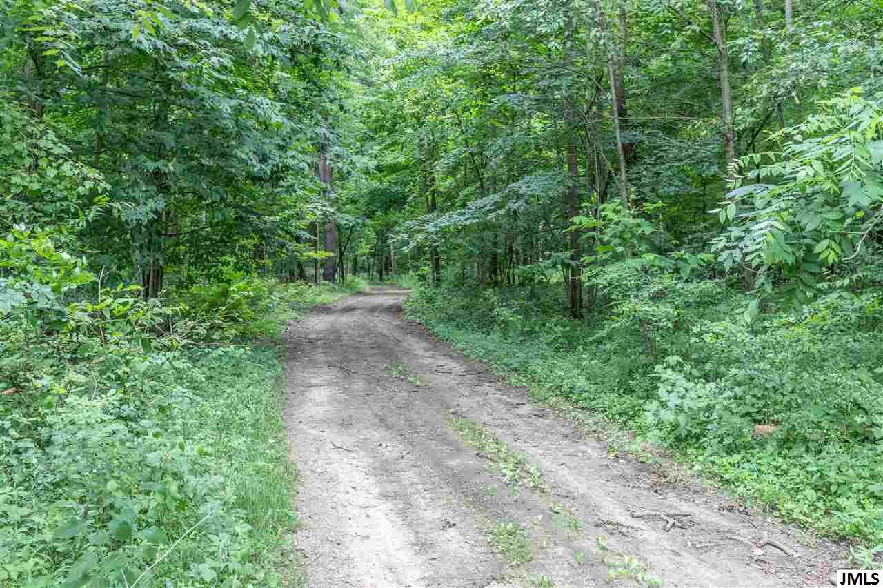 4777 Ferris Road Onondaga, MI 49264 - Photo 30 of 36 Photo 30