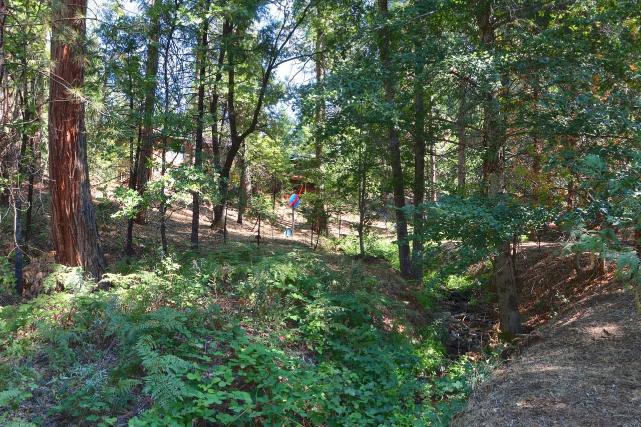36555 Mudge Ranch Road Coarsegold, CA 93614 - Photo 56 of 80 a view of outdoor space and a yard