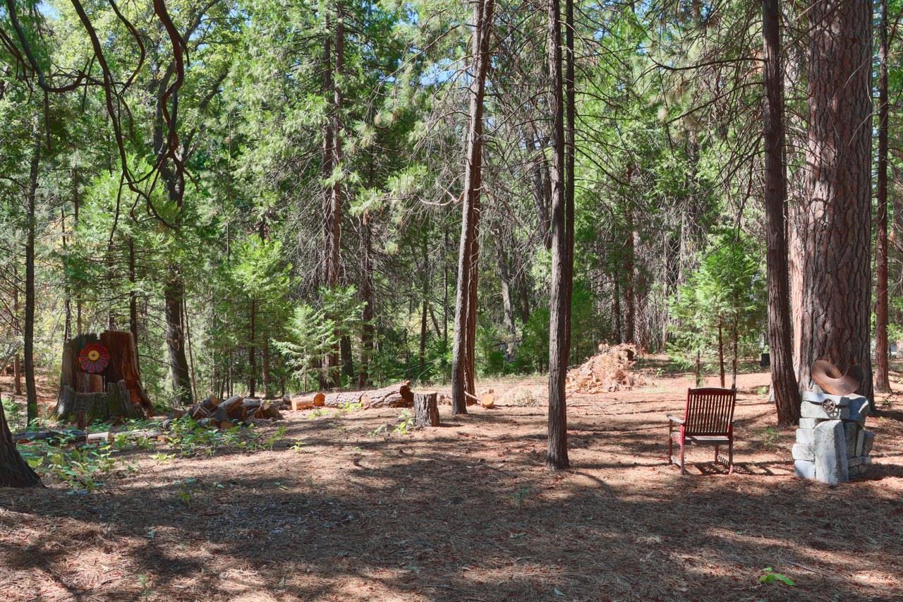 36555 Mudge Ranch Road Coarsegold, CA 93614 - Photo 57 of 80 a view of bench with trees in the background