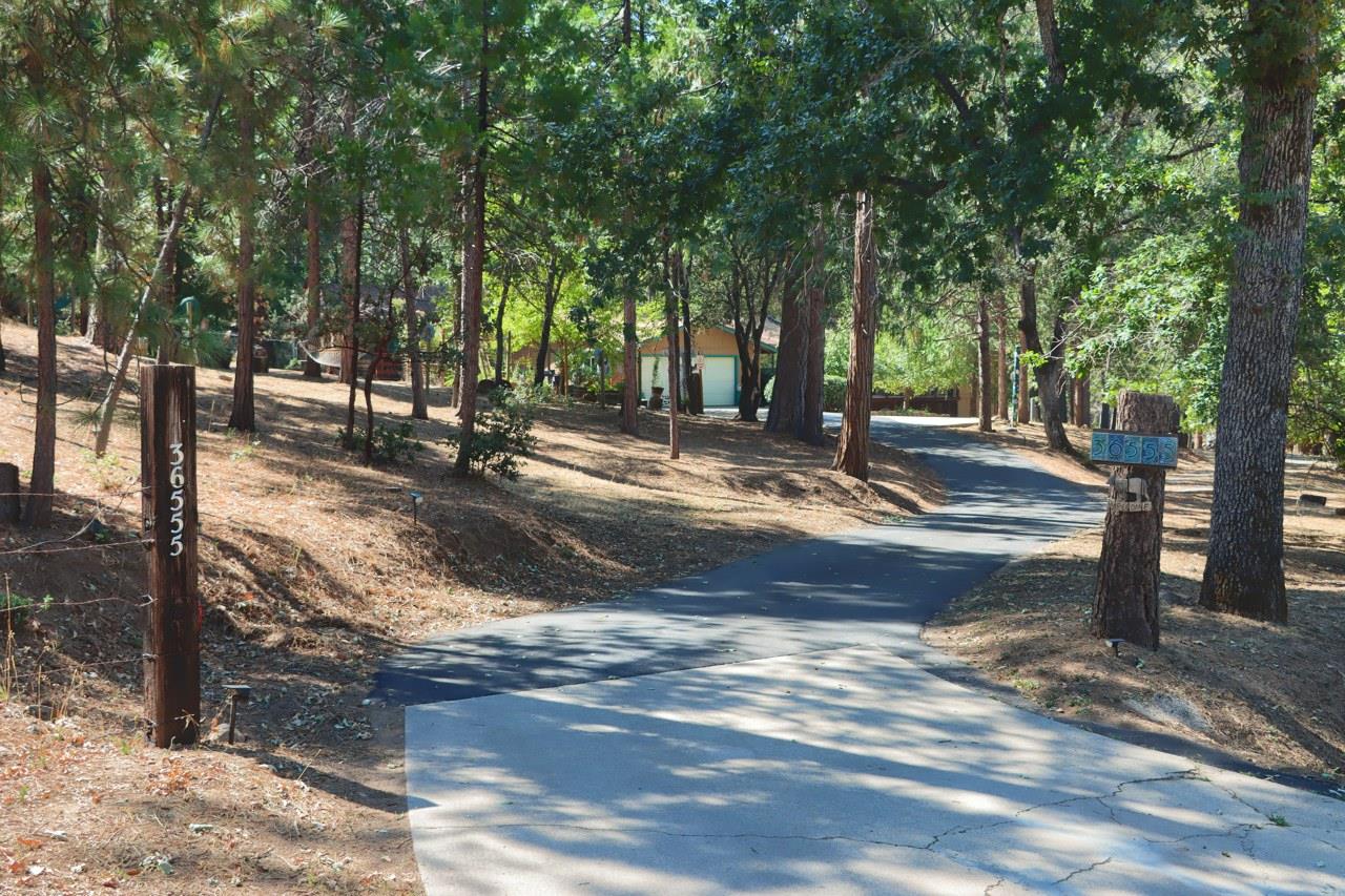 36555 Mudge Ranch Road Coarsegold, CA 93614 - Photo 72 of 80