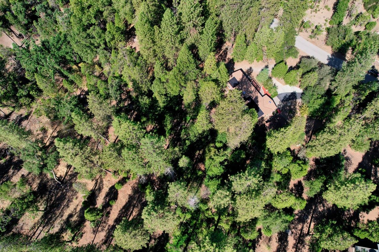 36555 Mudge Ranch Road Coarsegold, CA 93614 - Photo 79 of 80