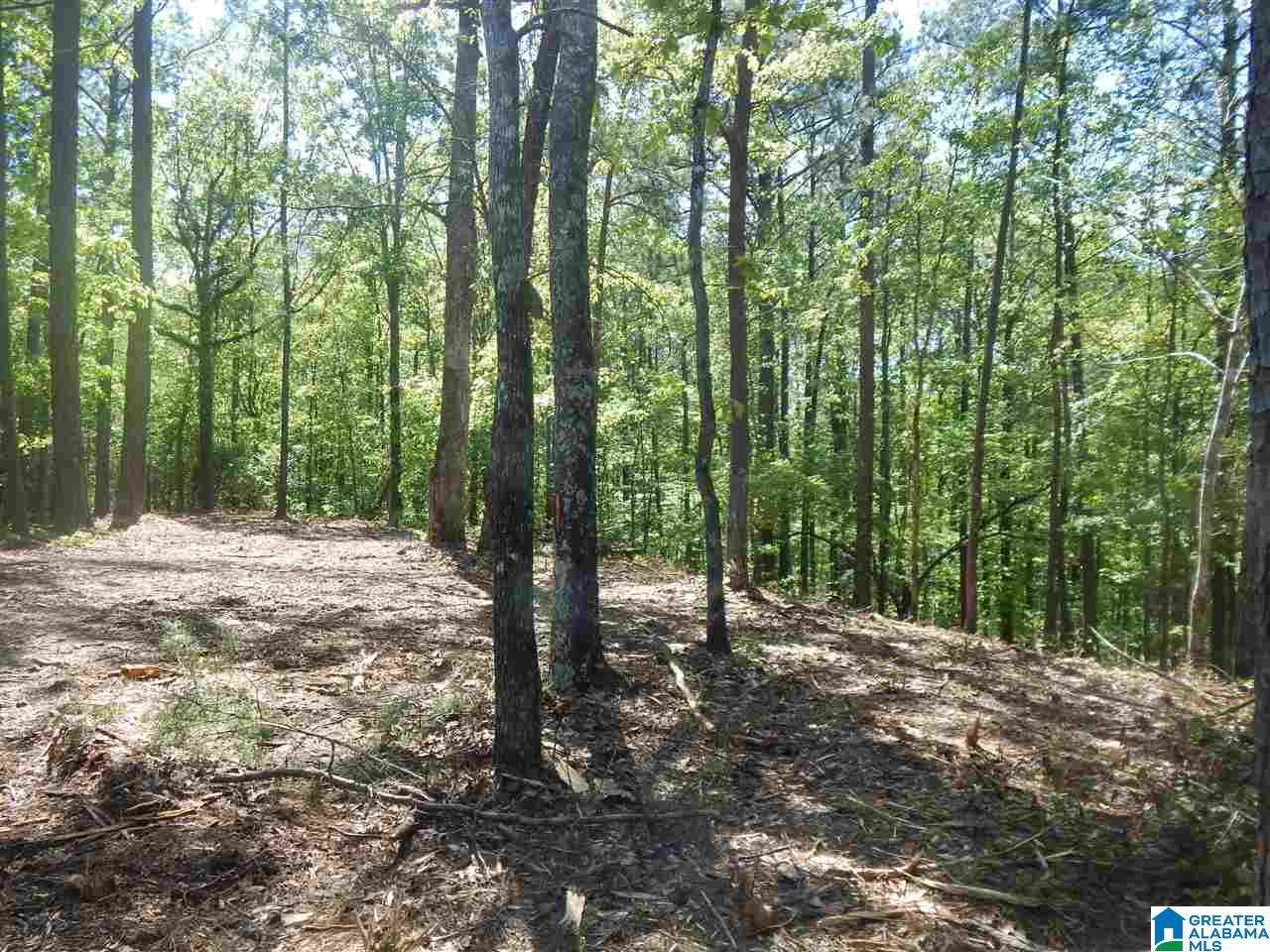 13084 Hobby Horse Road Vance, AL 35490 - Photo 19 of 21