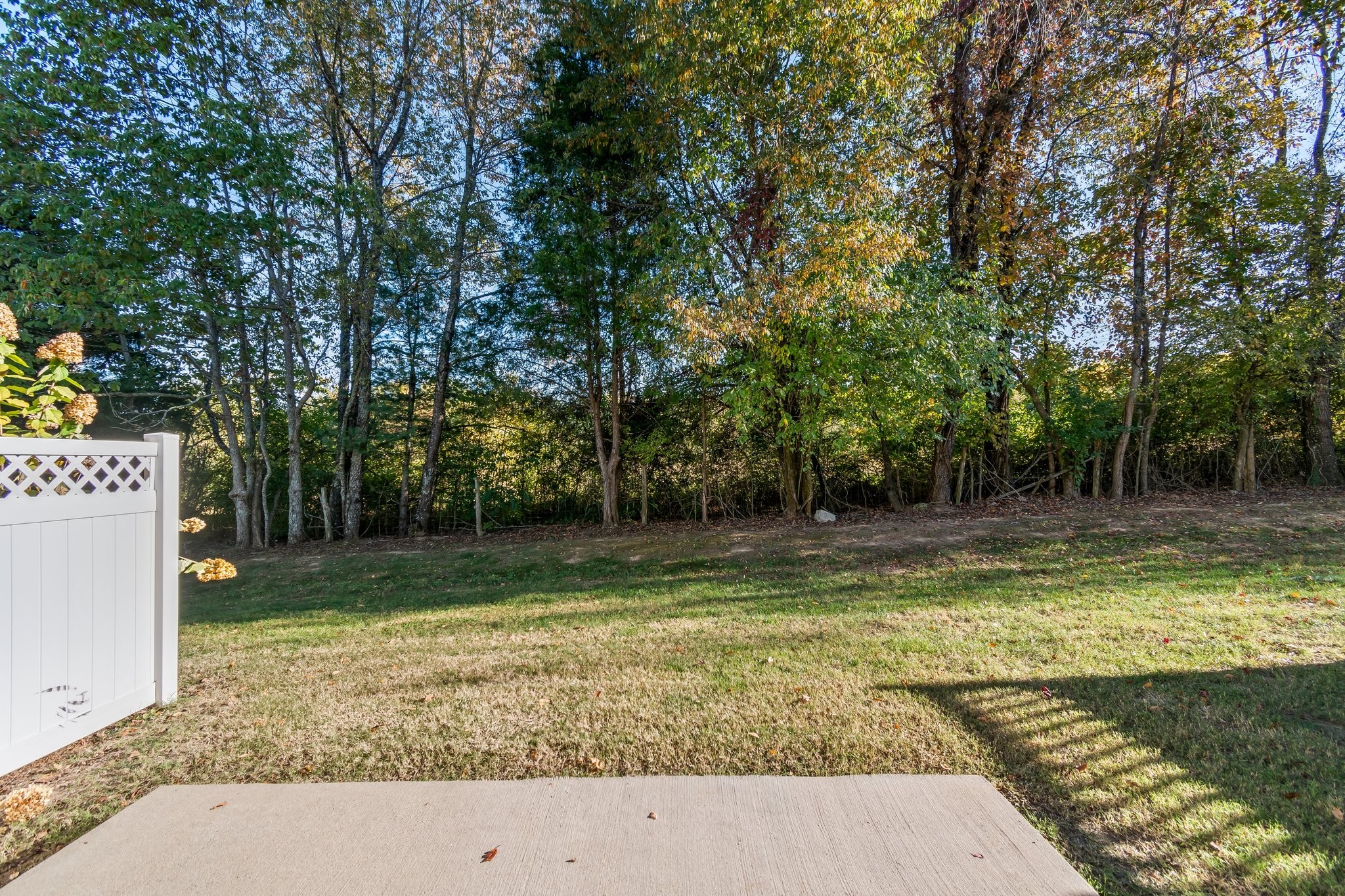 1041 Irish Way Spring Hill, TN 37174 - Photo 10 of 38 a view of a backyard with swimming pool