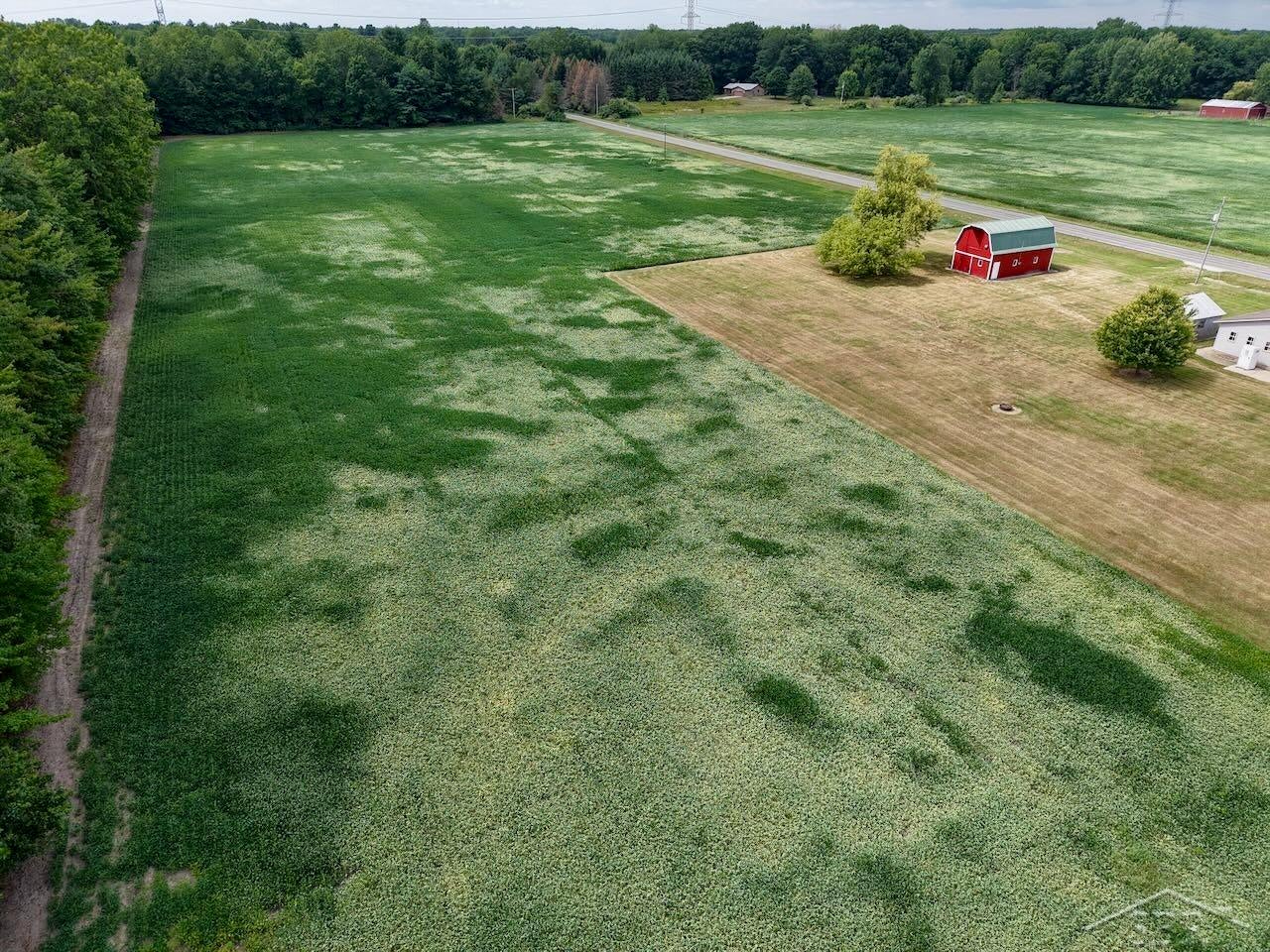 9020 South Raucholz Road St. Charles, MI 48655 - Photo 9 of 25 Gallery Image 9
