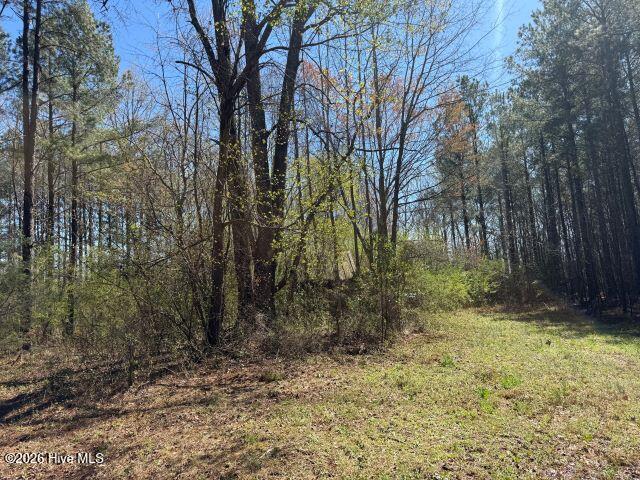 358 Flat Branch Road Gatesville, NC 27938 - Photo 4 of 17 Photo Mar 17 2026, 12 24 41 PM resized