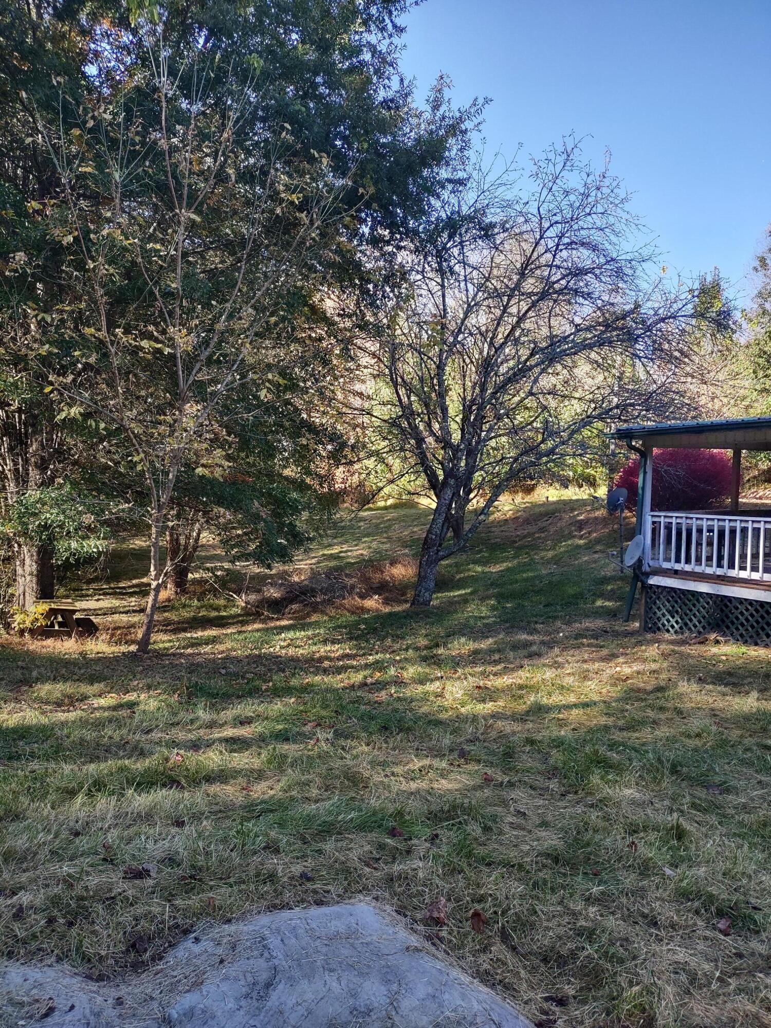 Yard on the left side of the house