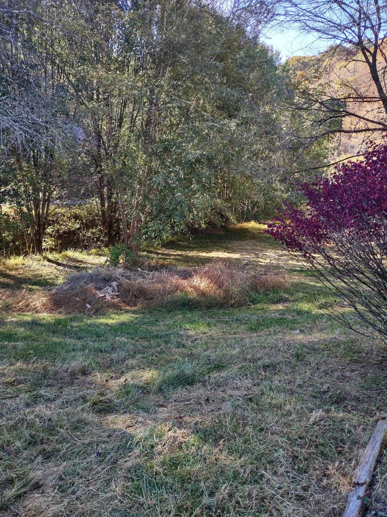 Yard on the left side of the house