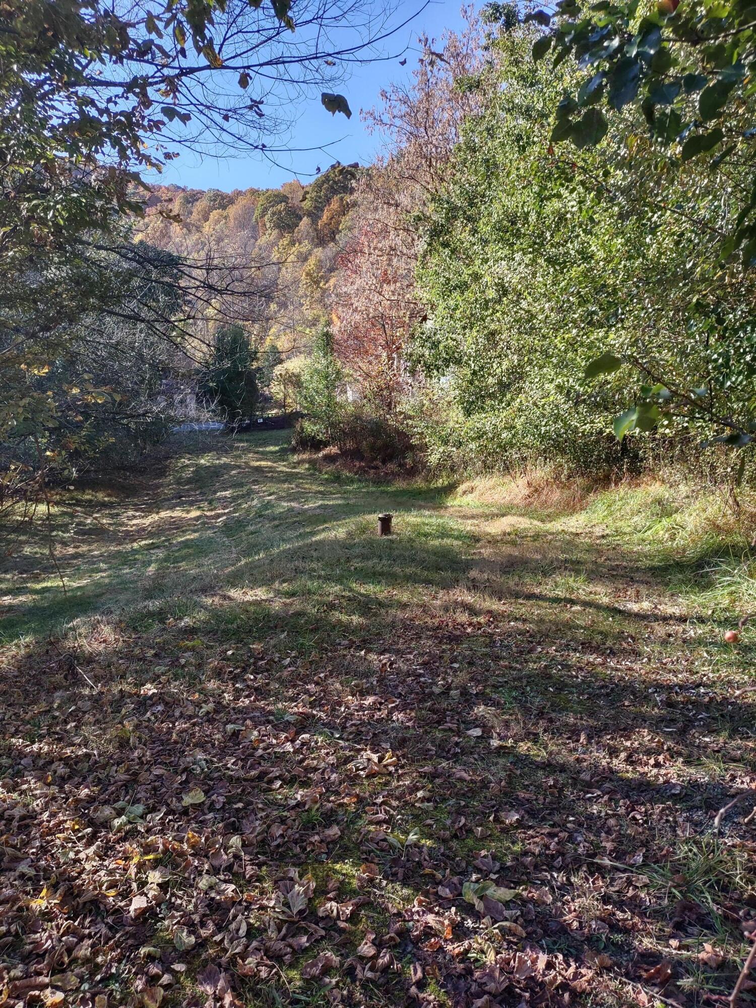 10419 Caney Valley Road Bristol, VA 24202 - Photo 9 of 37 Driveway to the back of the house