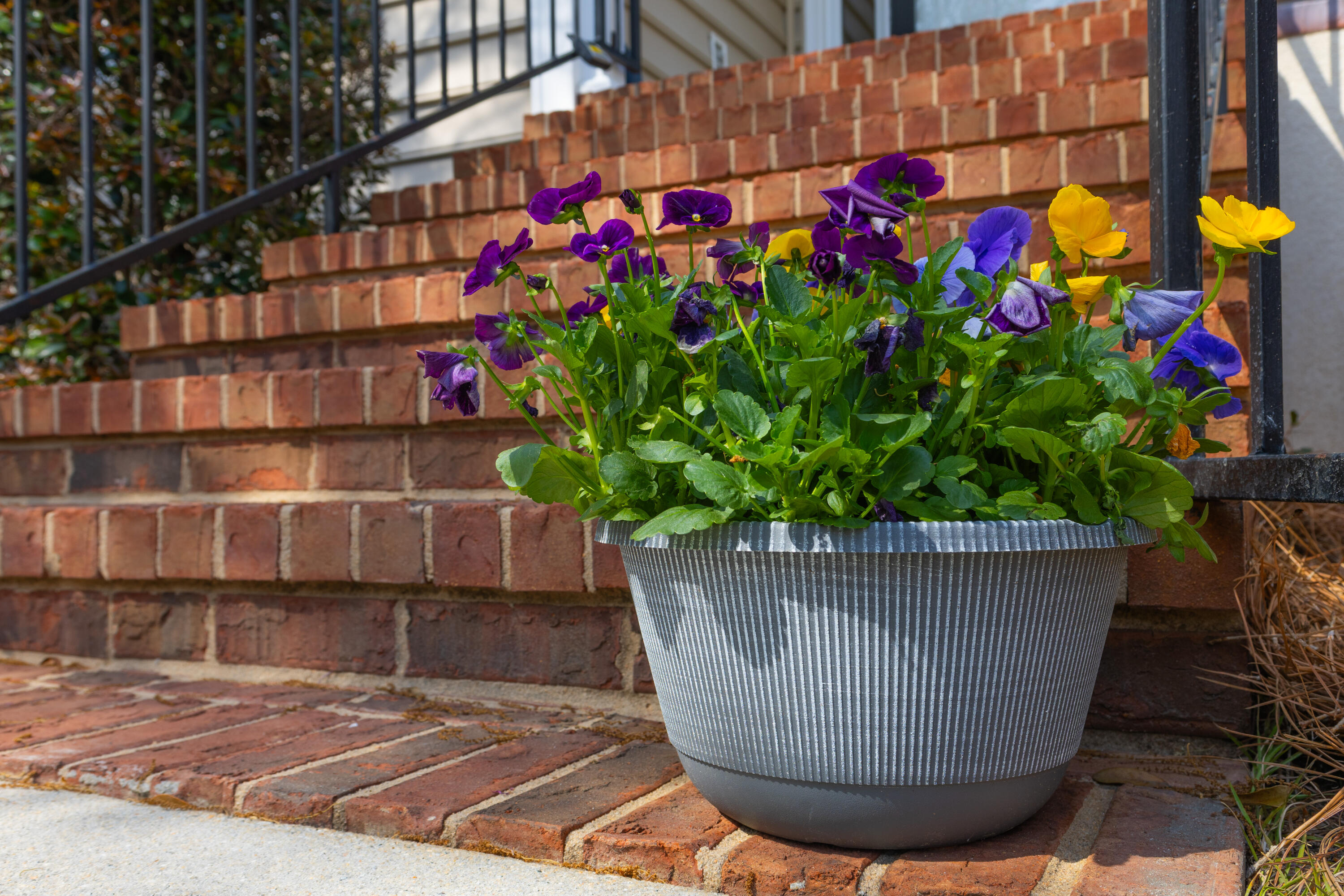 57 Emerald Ridge Aiken, SC 29803 - Photo 50 of 52 IMG_8226
