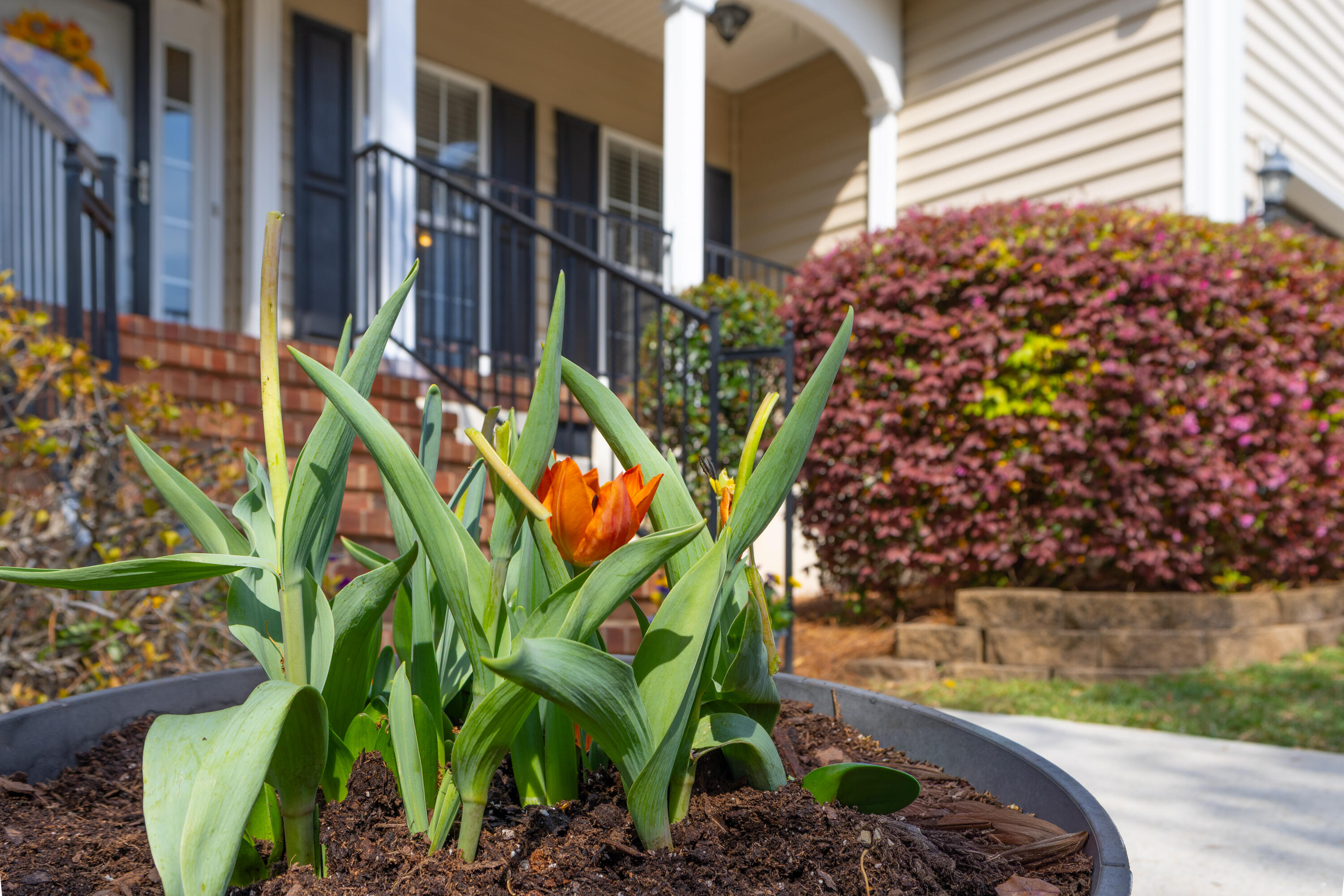 57 Emerald Ridge Aiken, SC 29803 - Photo 4 of 52 IMG_8223