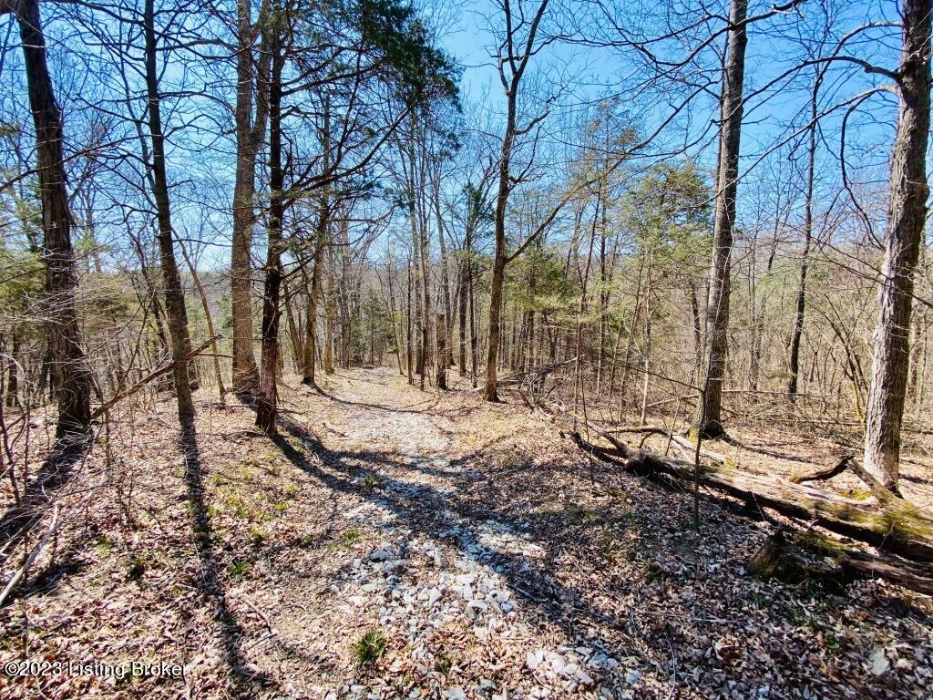 2723 Tatum Ridge Road Willisburg, KY 40078 - Photo 23 of 42 023_79791066