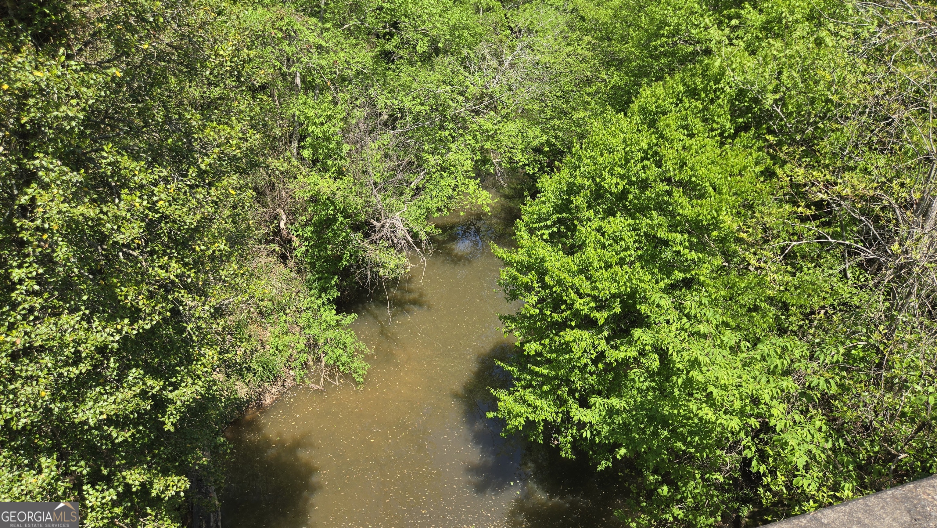 0 Sand Hill Road Bowman, GA 30624 - Photo 12 of 69 a view of a lake in a forest
