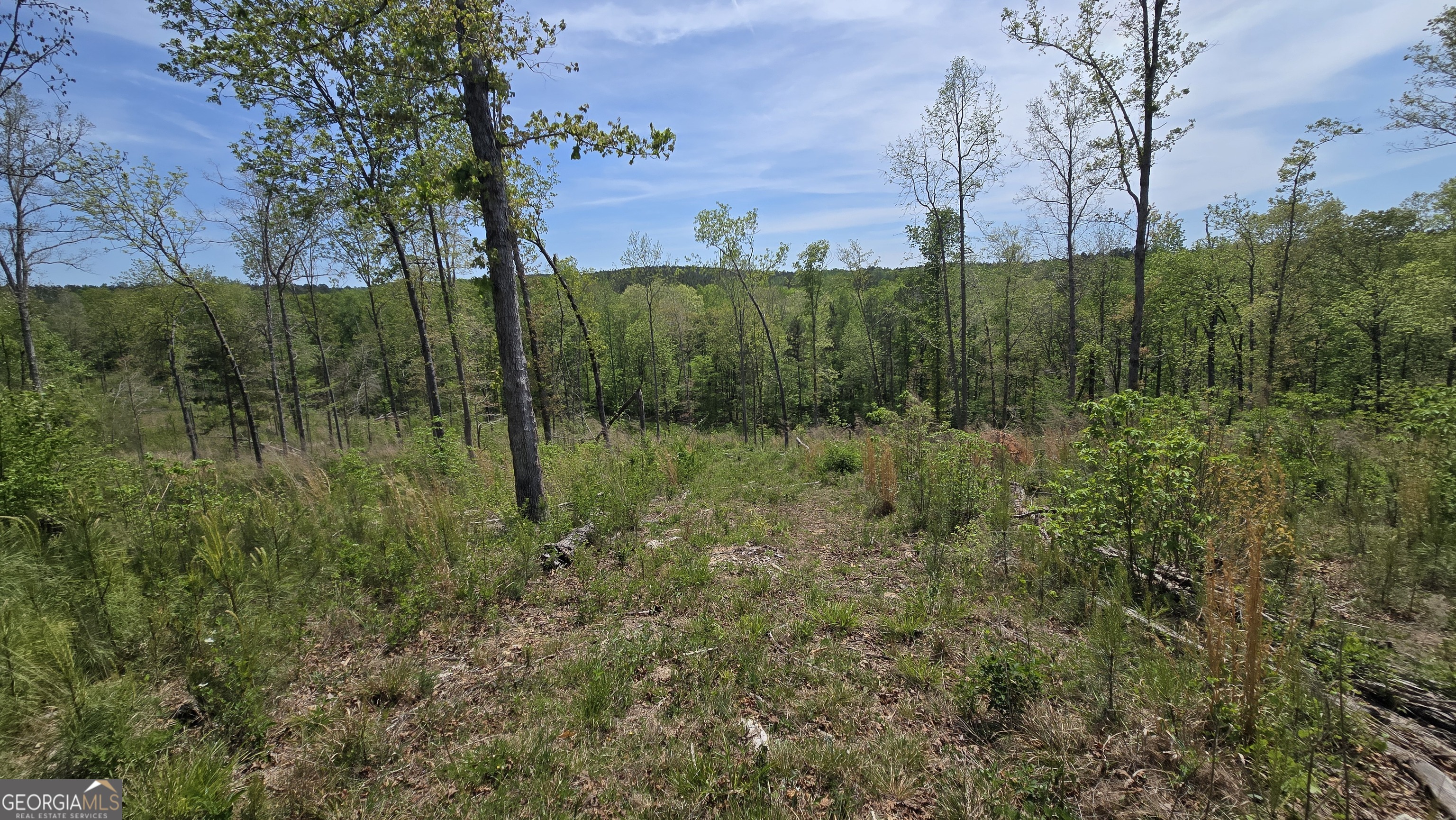 0 Sand Hill Road Bowman, GA 30624 - Photo 16 of 69 a view of a lush green forest