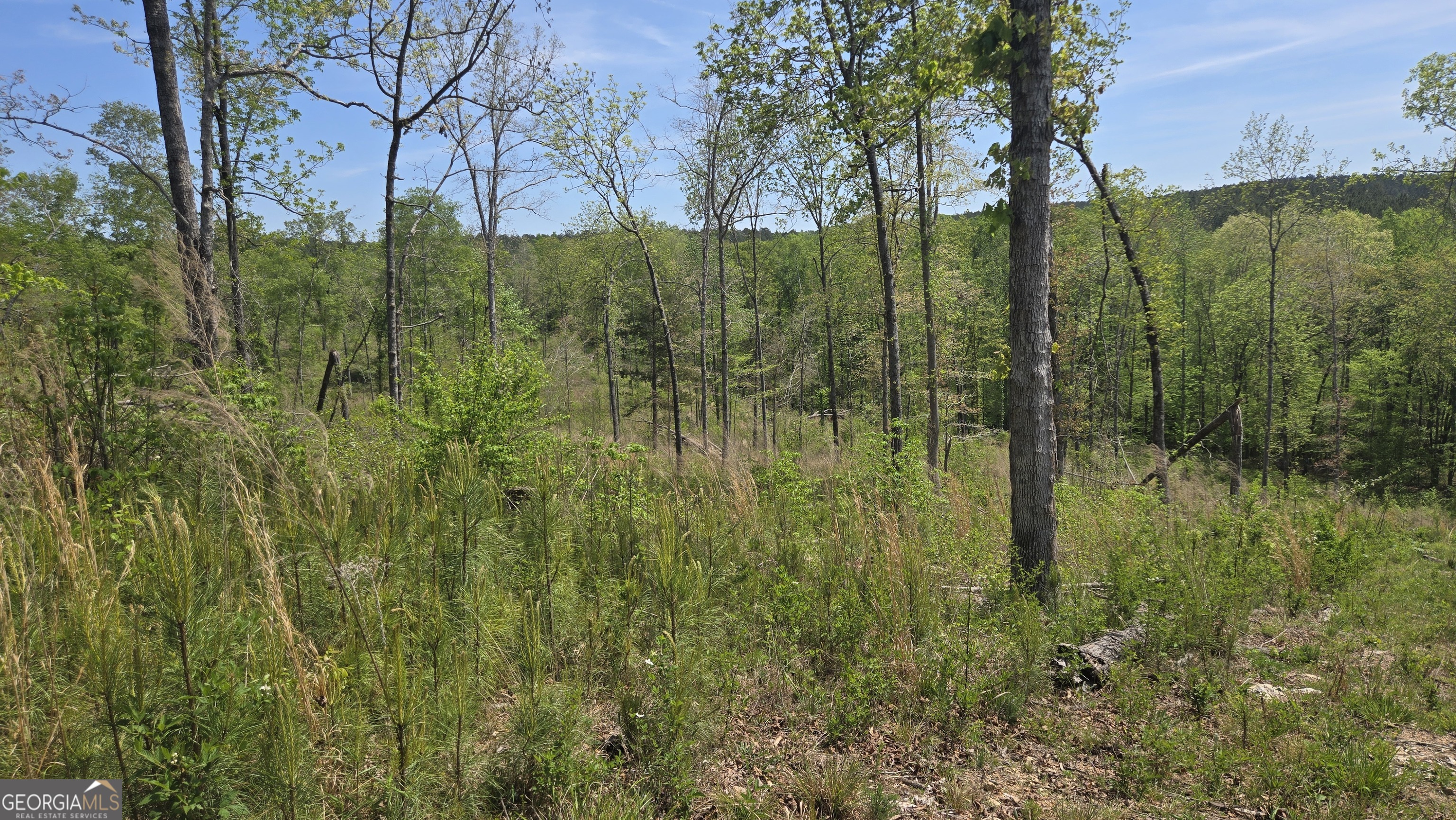 0 Sand Hill Road Bowman, GA 30624 - Photo 17 of 69