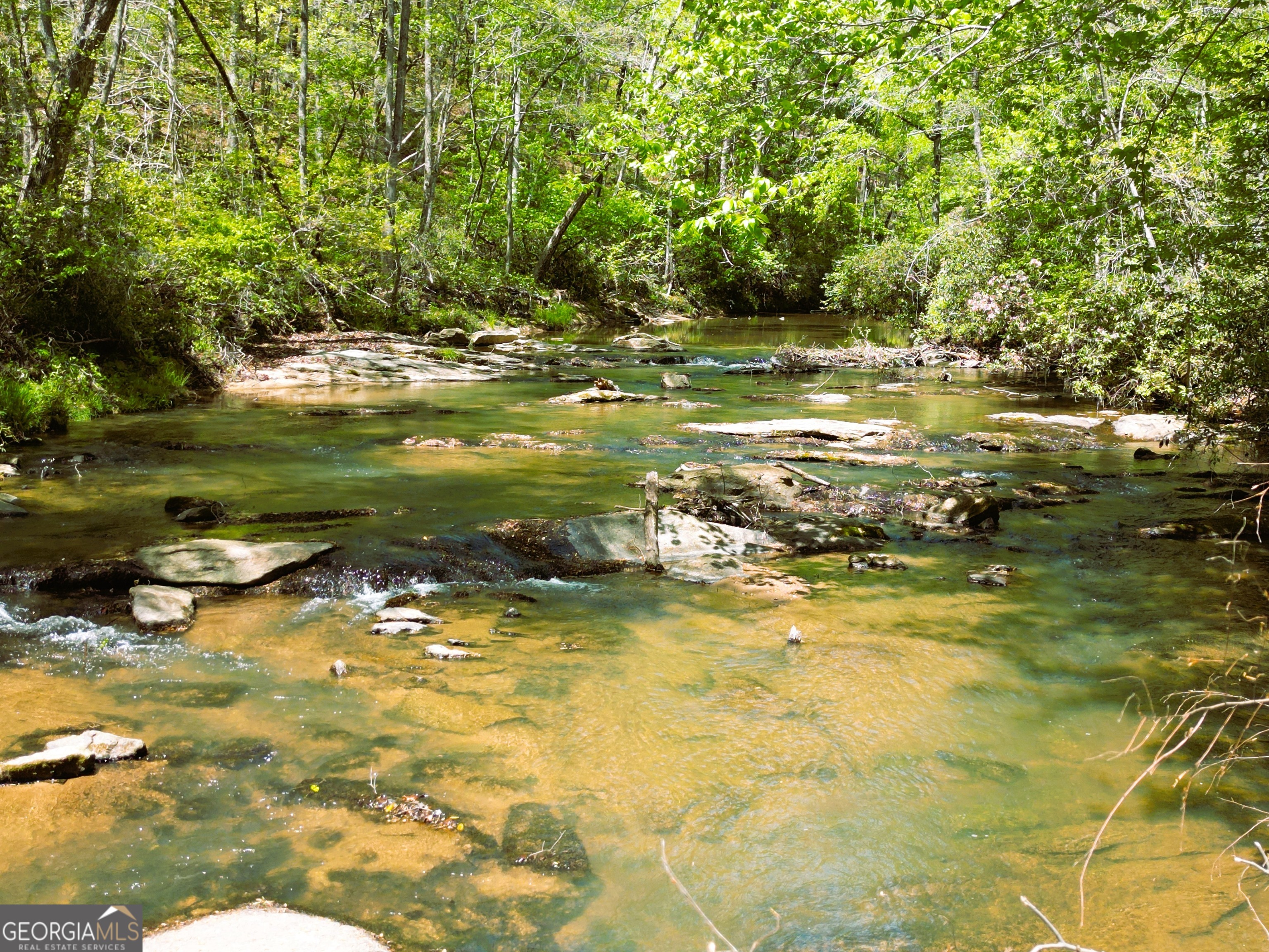 0 Sand Hill Road Bowman, GA 30624 - Photo 2 of 69