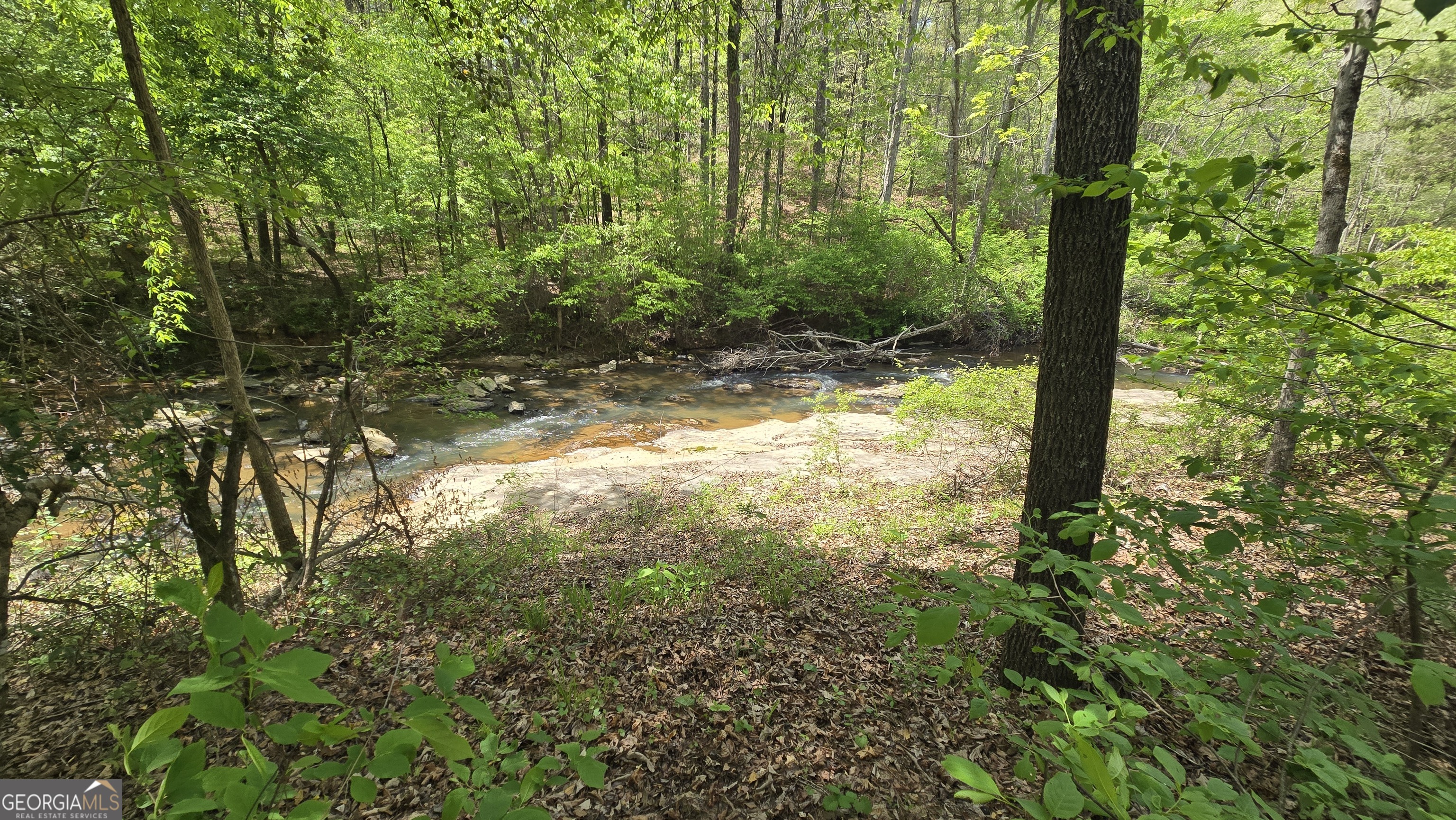 0 Sand Hill Road Bowman, GA 30624 - Photo 23 of 69 a view of yard