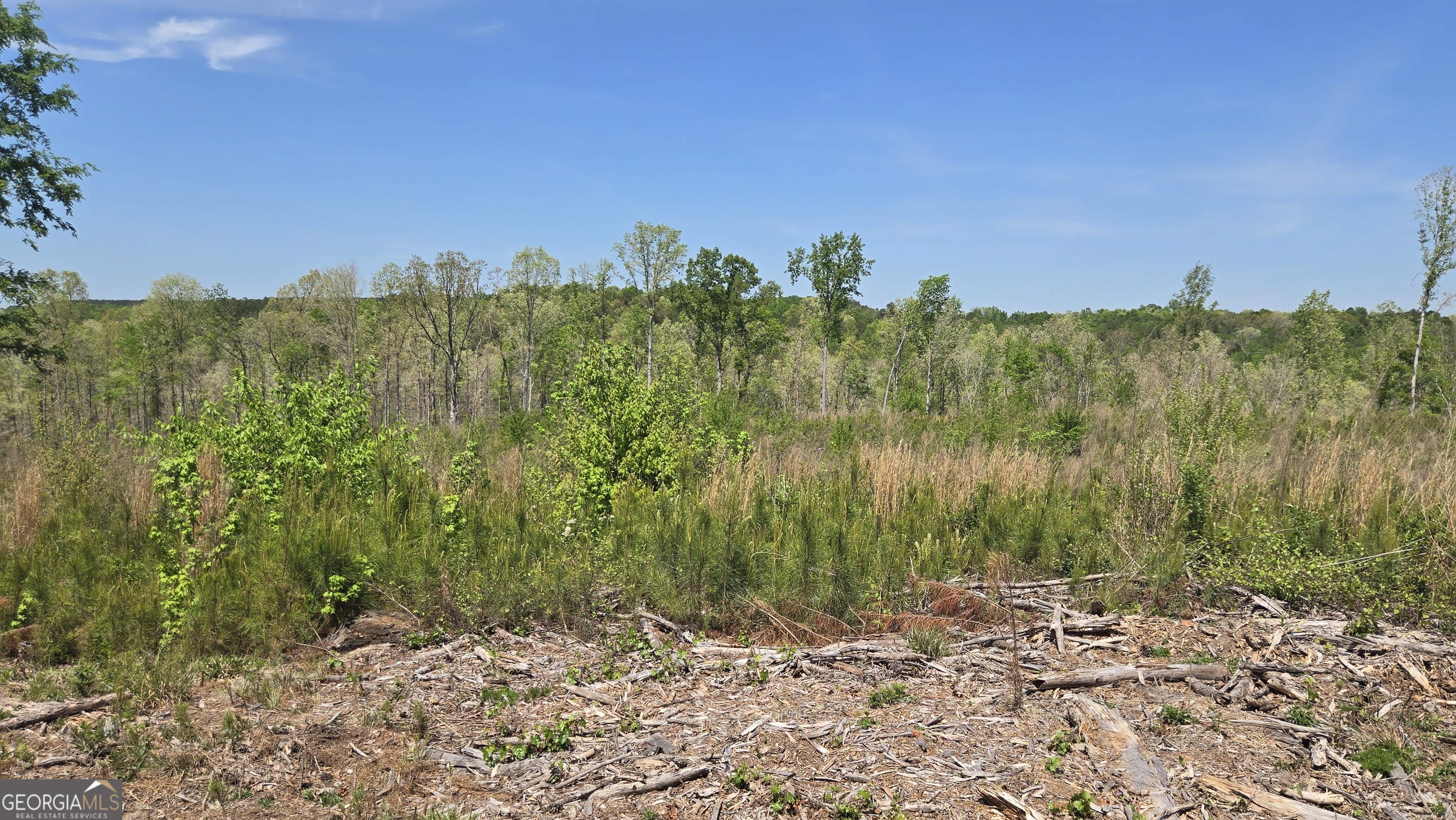 0 Sand Hill Road Bowman, GA 30624 - Photo 25 of 69 a view of a bunch of trees and a building
