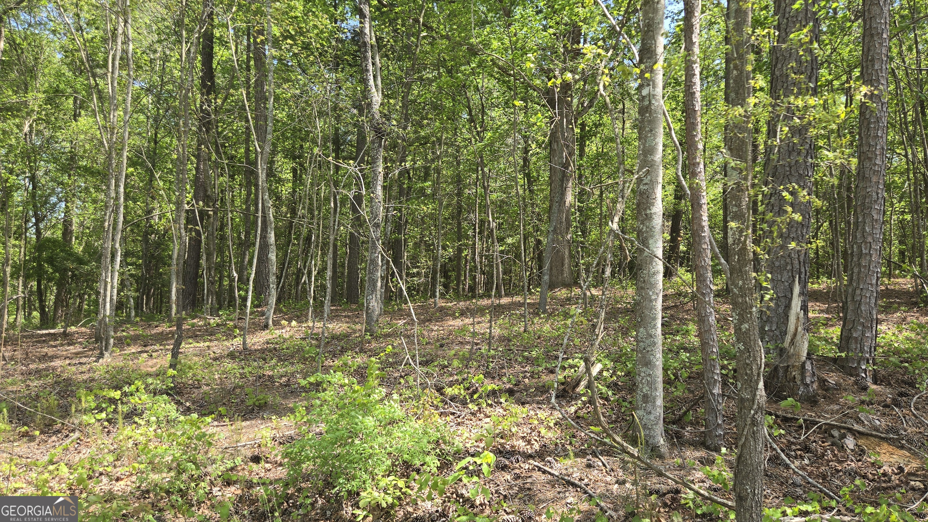 0 Sand Hill Road Bowman, GA 30624 - Photo 26 of 69 a view of outdoor space and trees