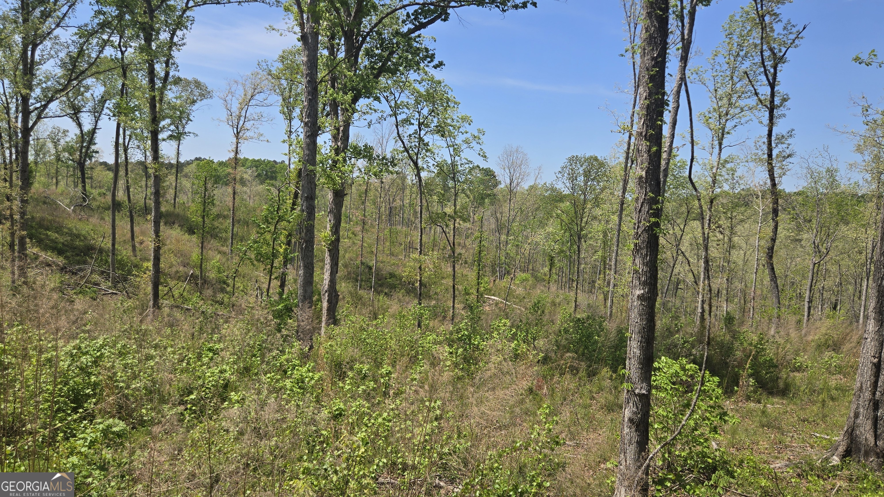 0 Sand Hill Road Bowman, GA 30624 - Photo 27 of 69 a view of a garden
