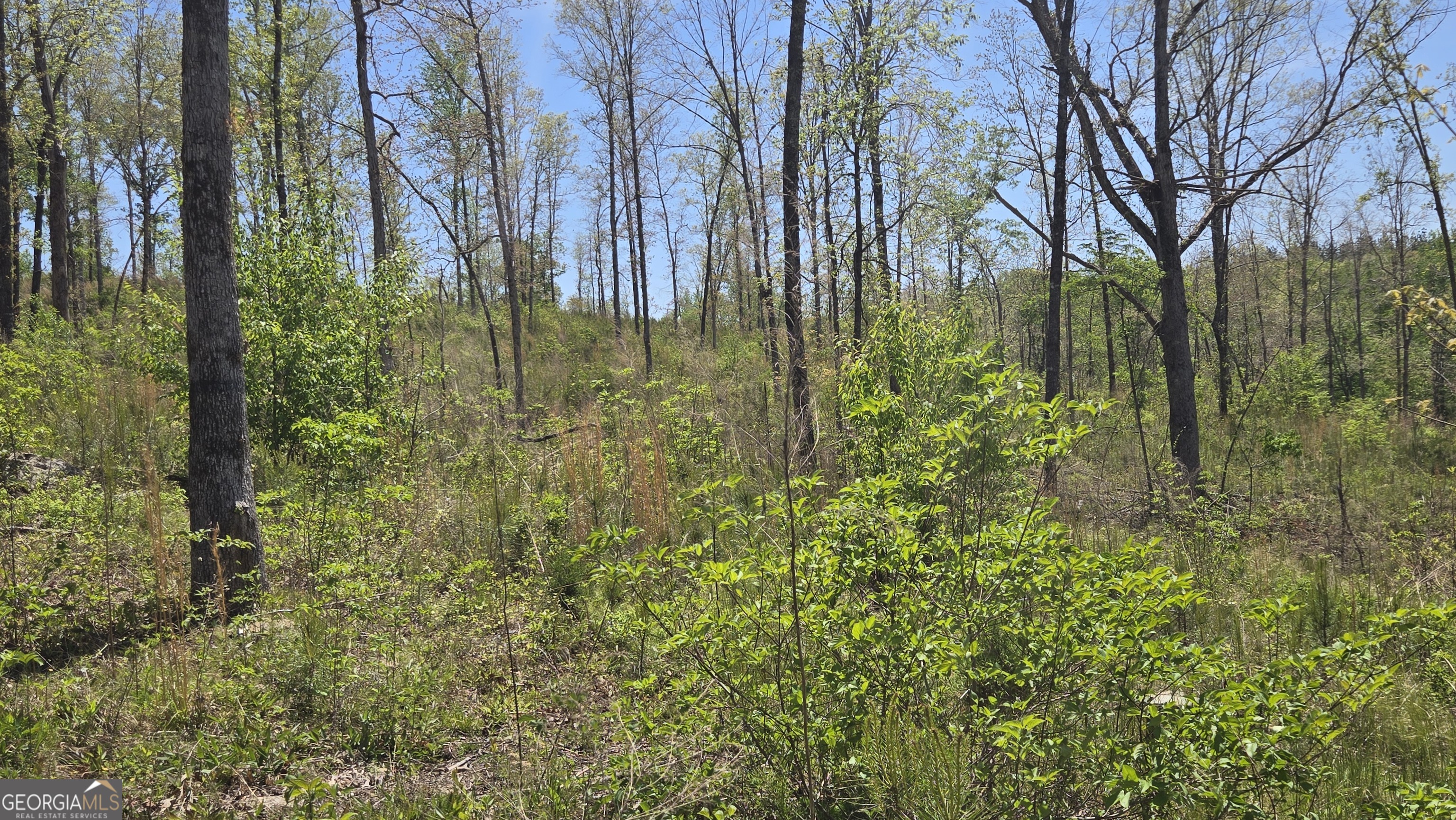 0 Sand Hill Road Bowman, GA 30624 - Photo 28 of 69